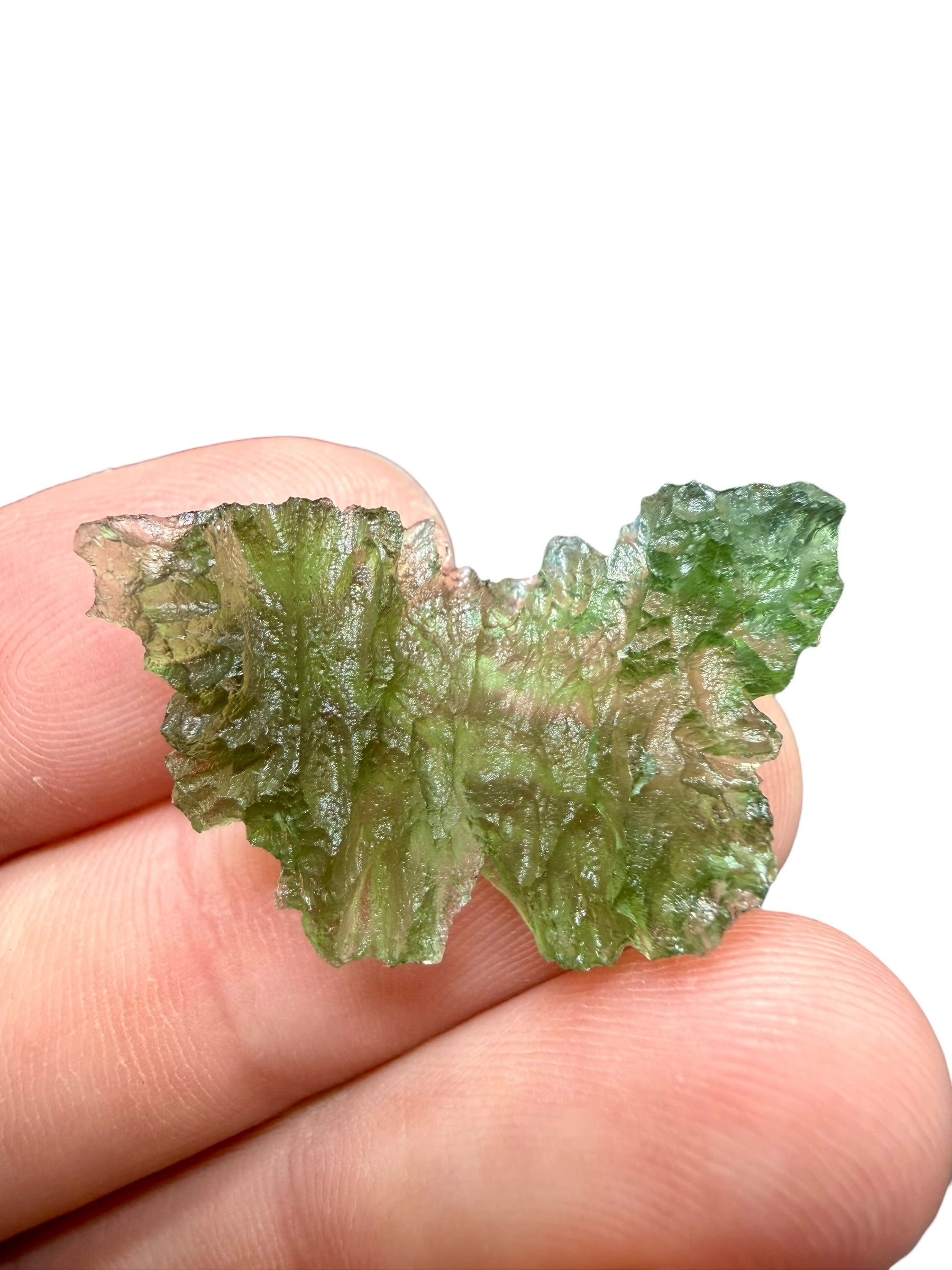 Moldavite – Besednice Jezkovna – 3g - BJ266