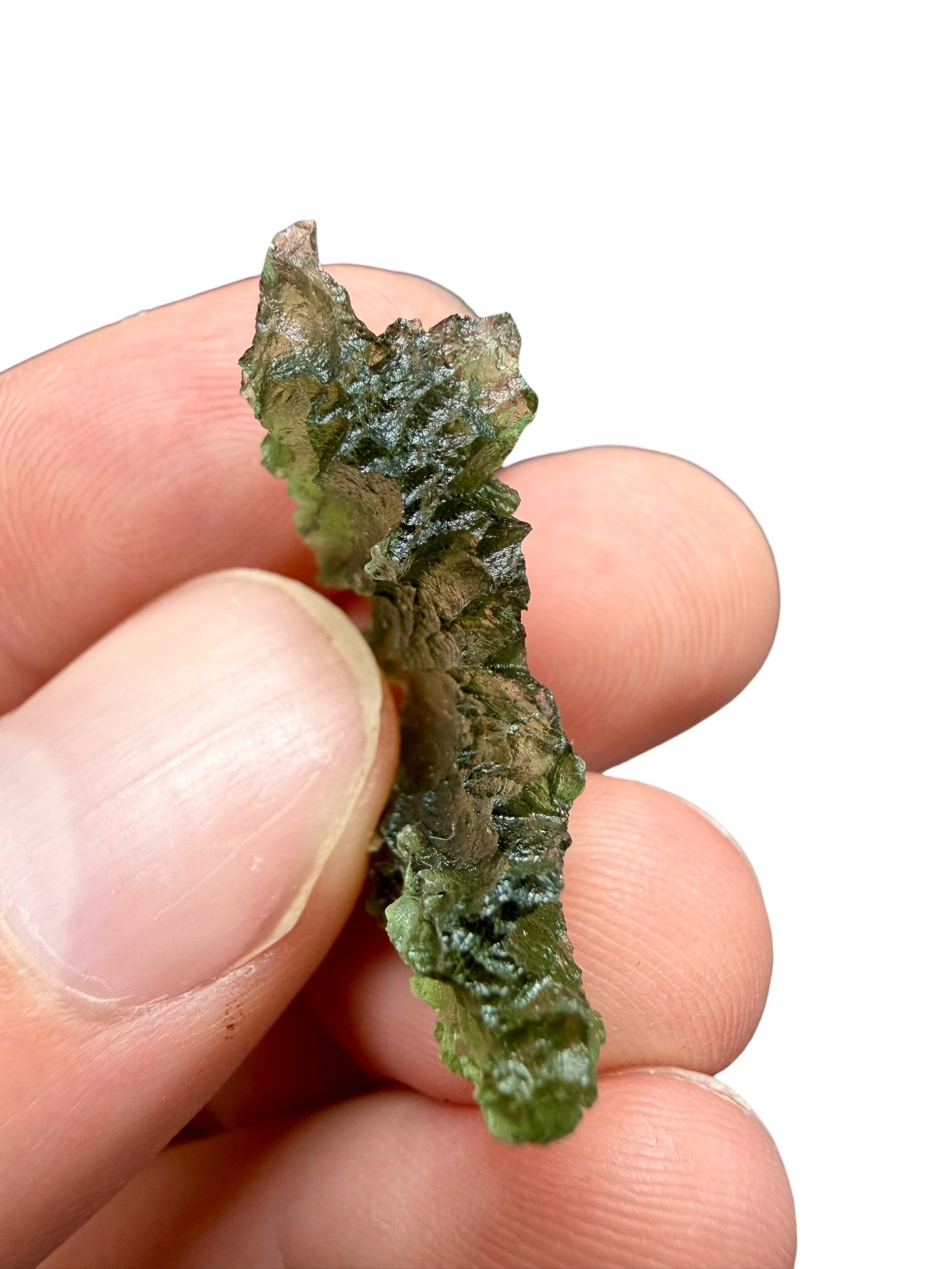 Moldavite – Besednice Jezkovna – 3g - BJ266