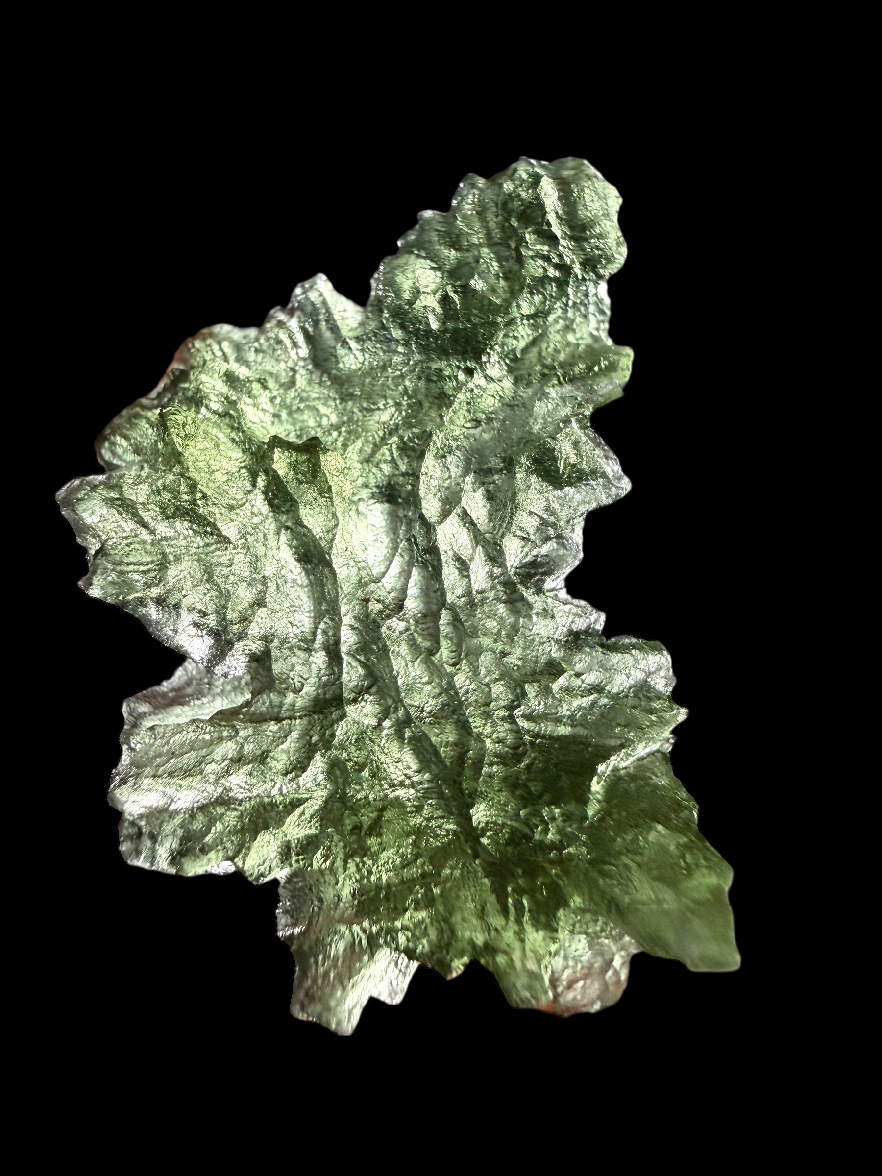 Moldavite – Besednice Jezkovna – 3g - BJ266