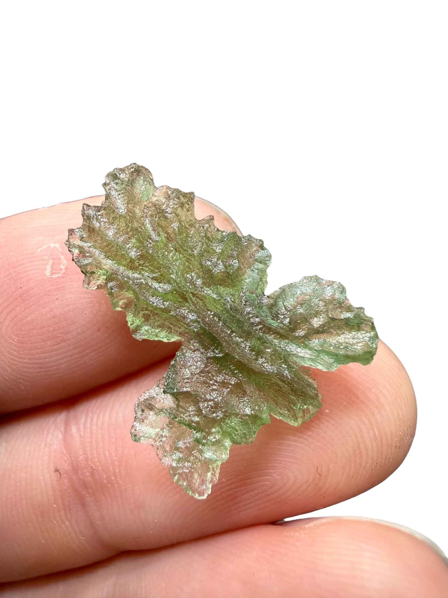 Moldavite – Besednice Jezkovna – 1,5g - BJ275