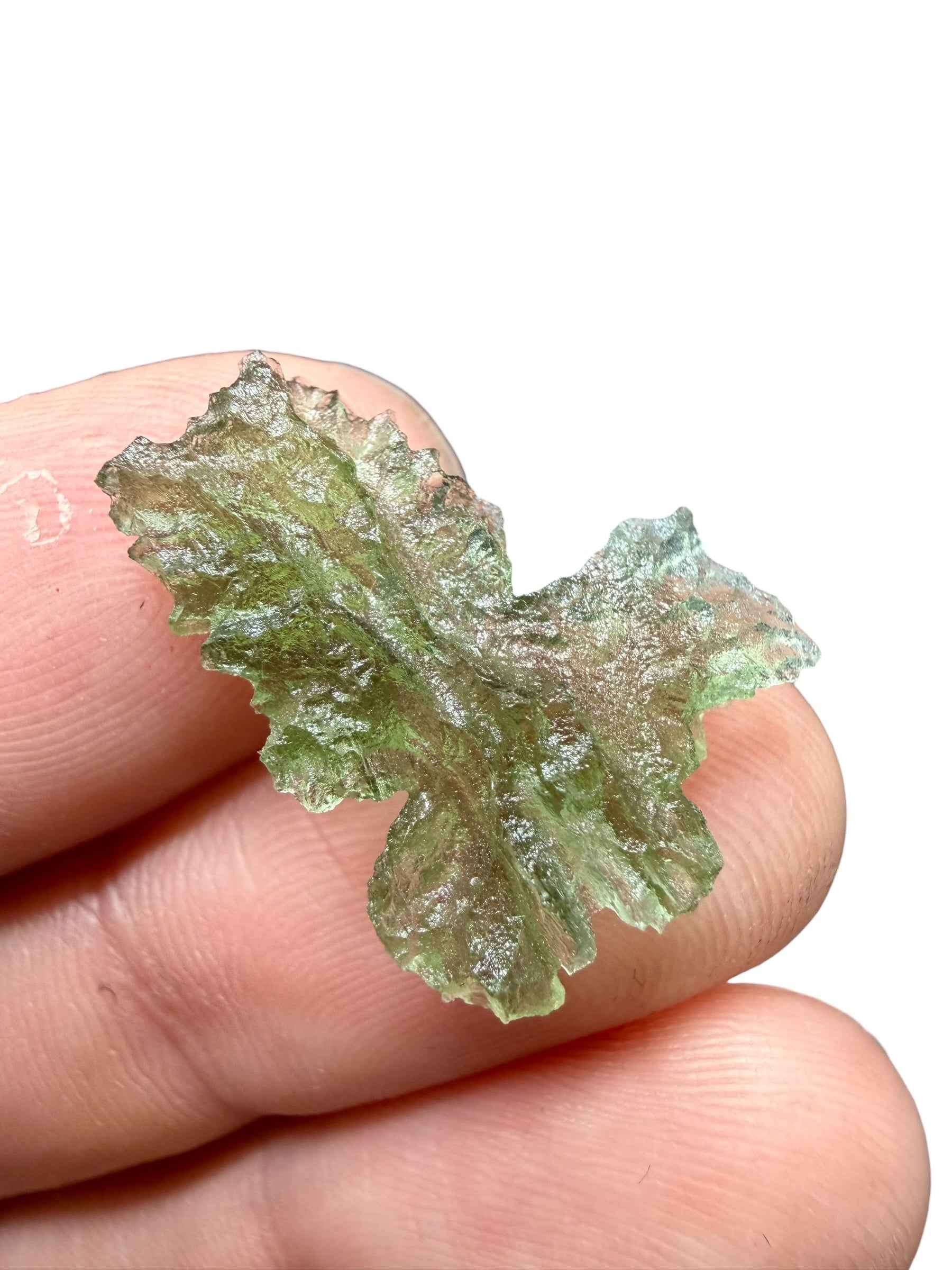 Moldavite – Besednice Jezkovna – 1,5g - BJ275