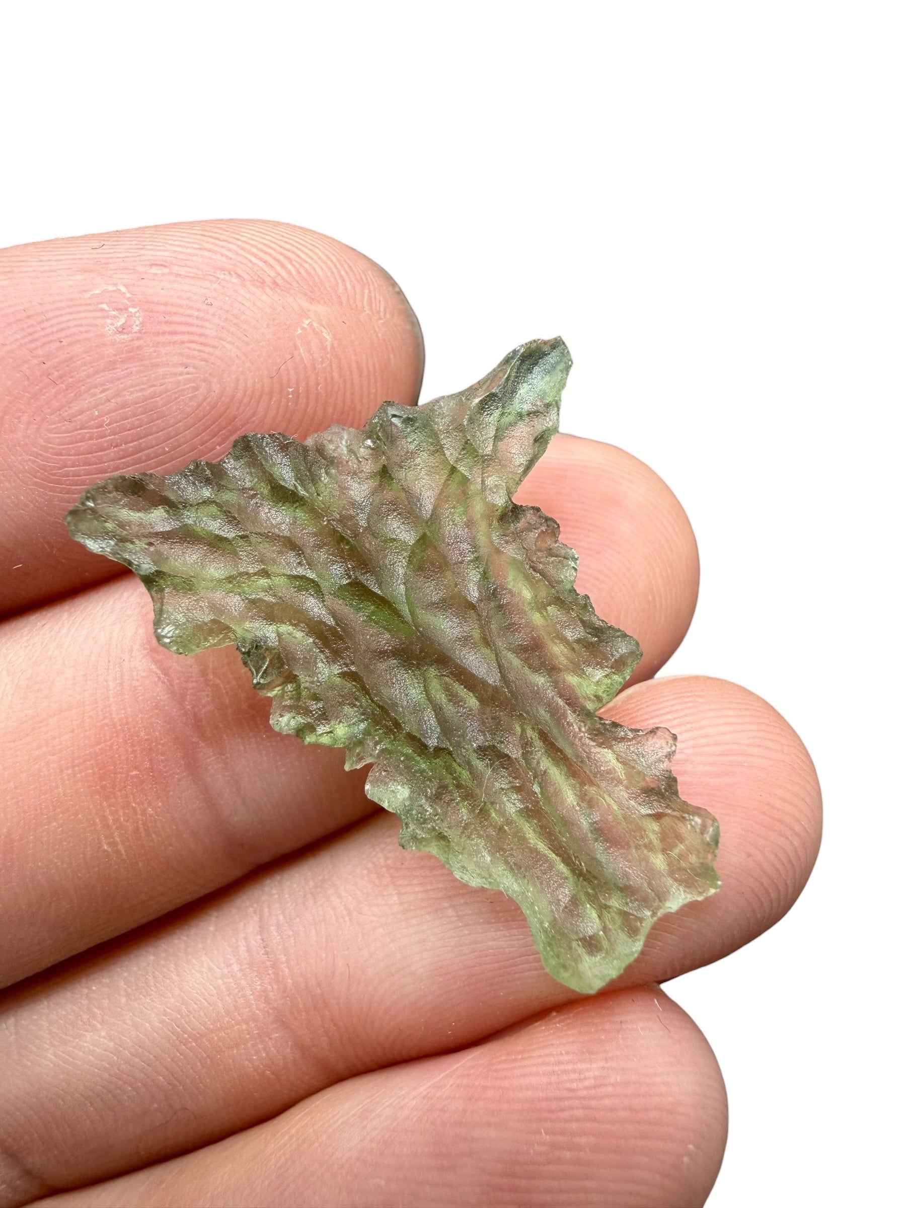Moldavite – Besednice Jezkovna – 1,5g - BJ282