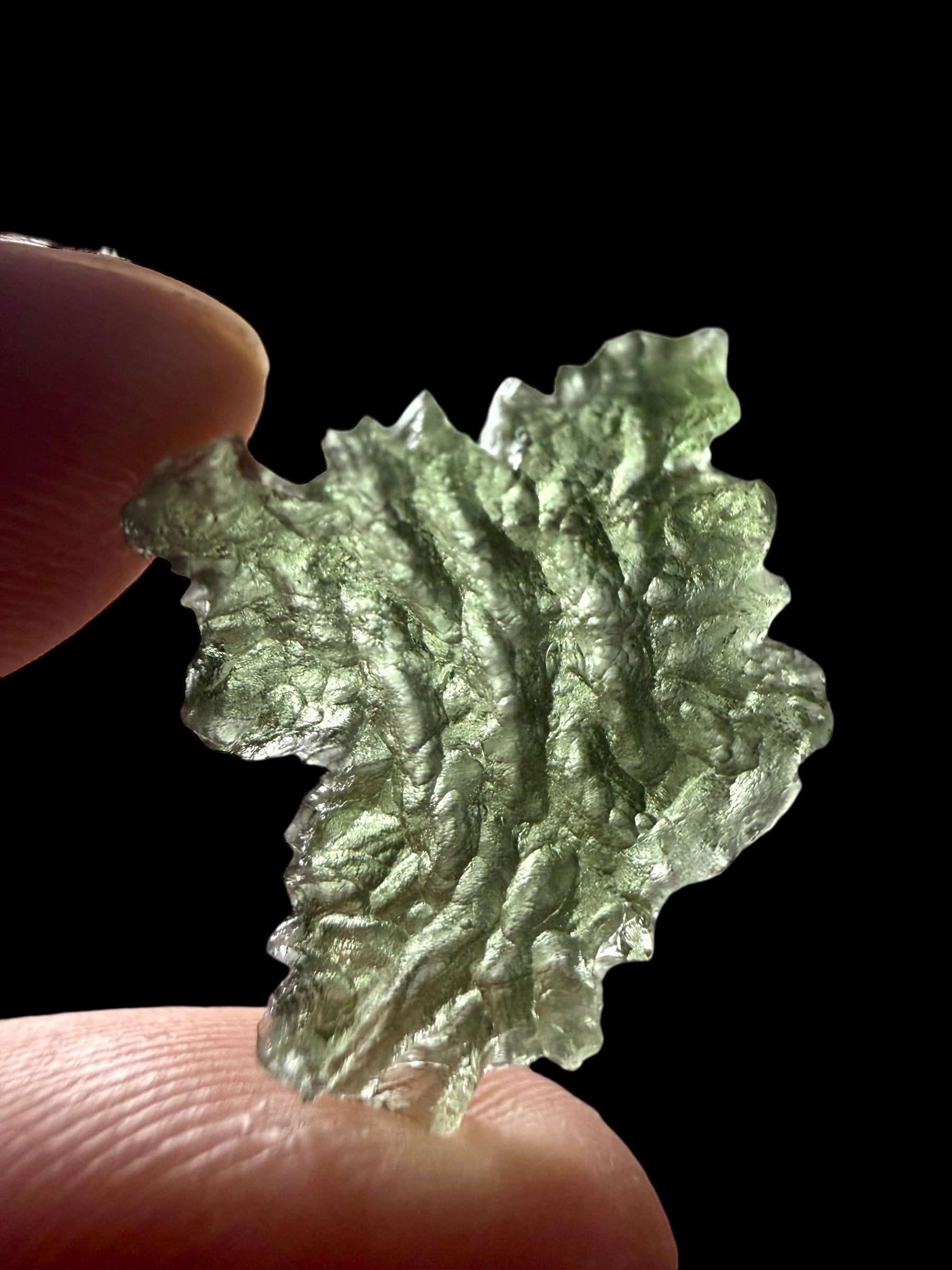 Moldavite – Besednice Jezkovna – 1,5g - BJ284