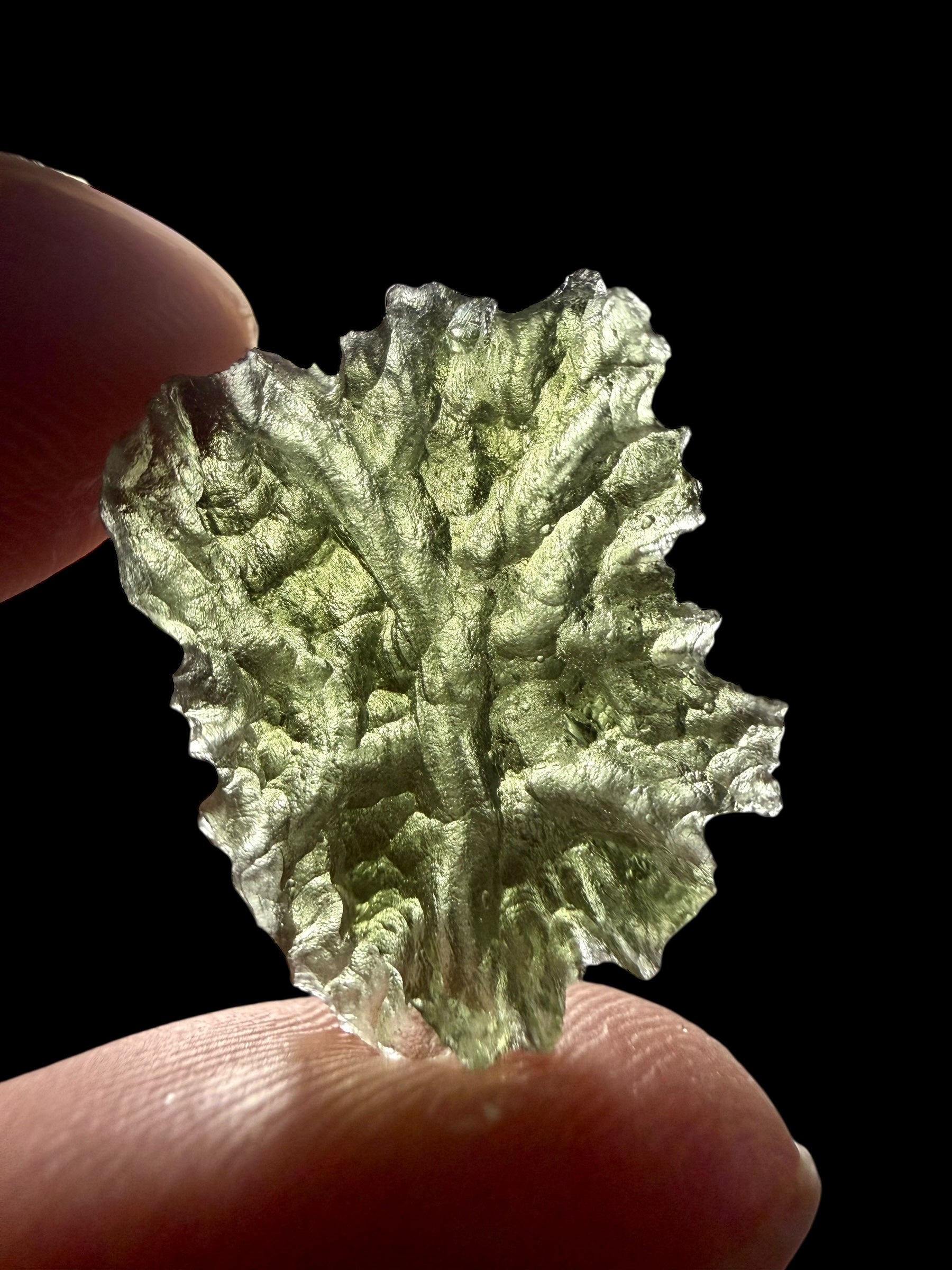 Moldavite – Besednice Jezkovna – 1,8g - BJ290