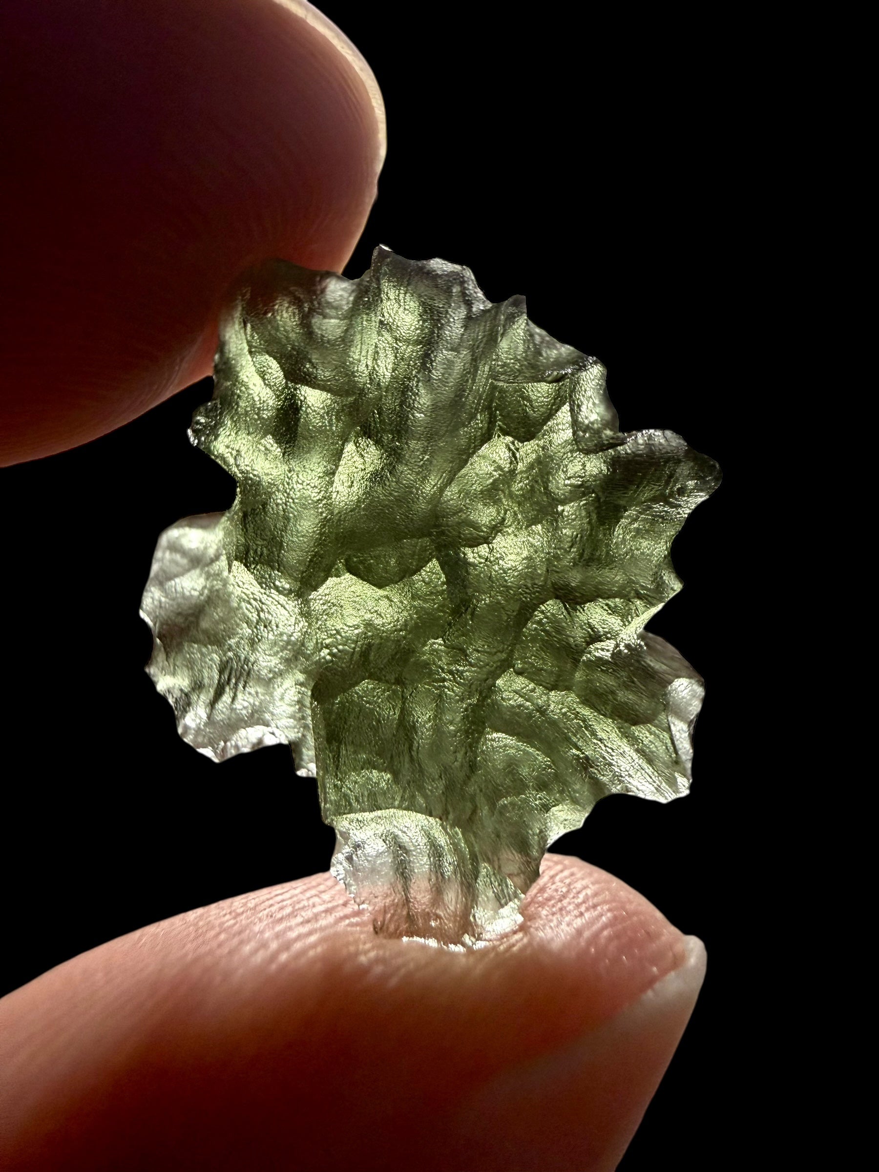 Moldavite – Besednice Jezkovna – 1,9g - BJ302