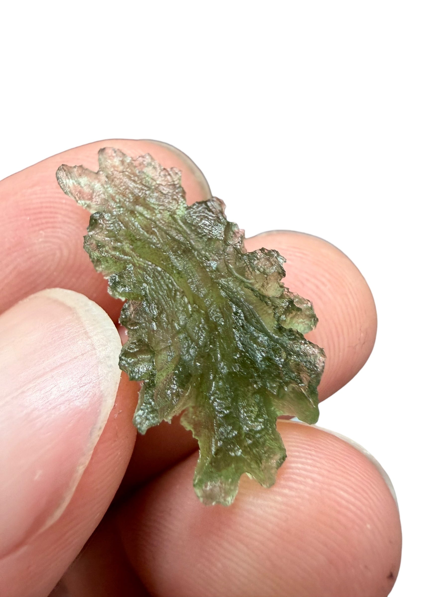 Moldavite – Besednice Jezkovna – 2g - BJ328
