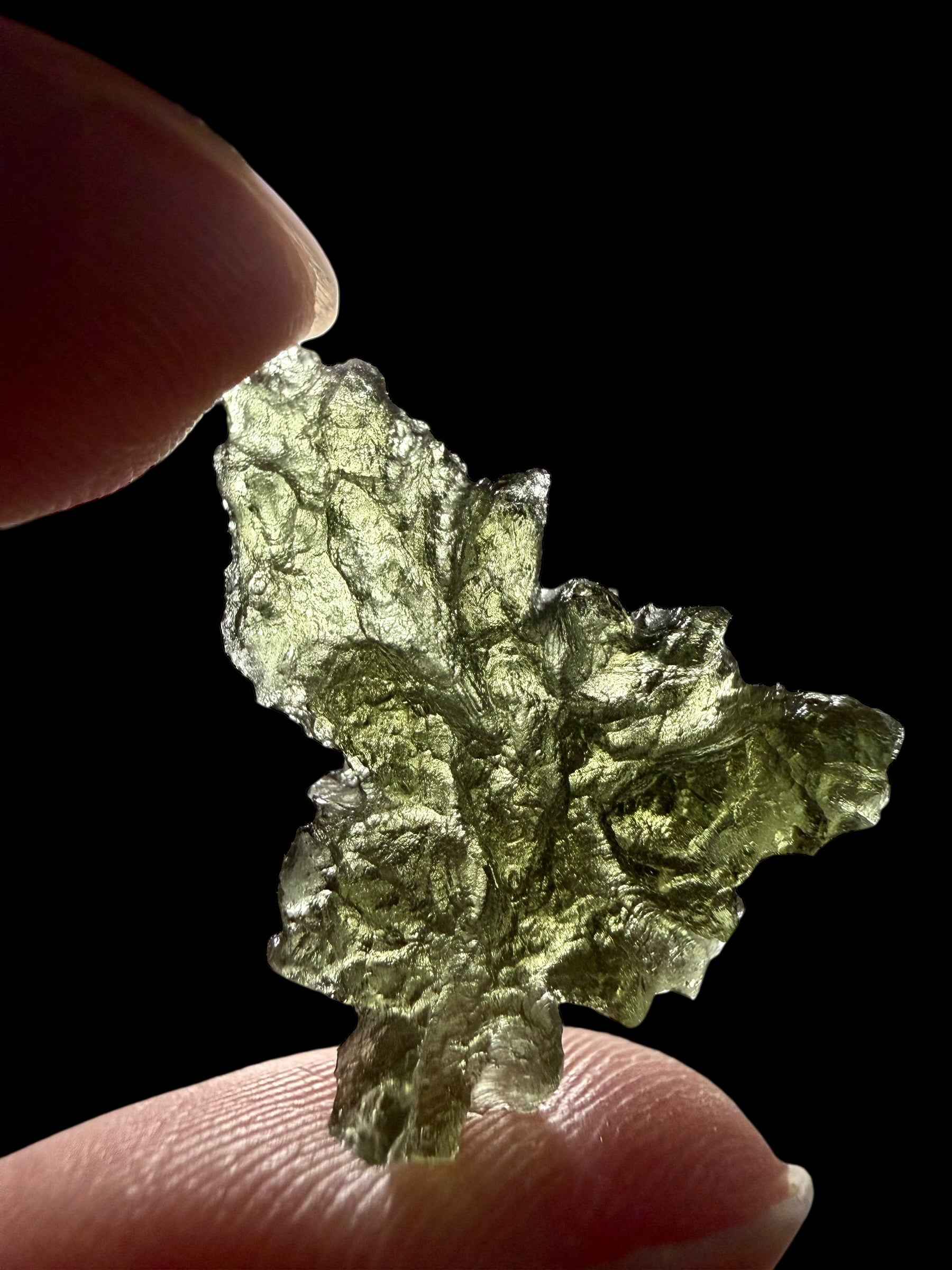 Moldavite – Besednice Jezkovna – 1,9g - BJ330