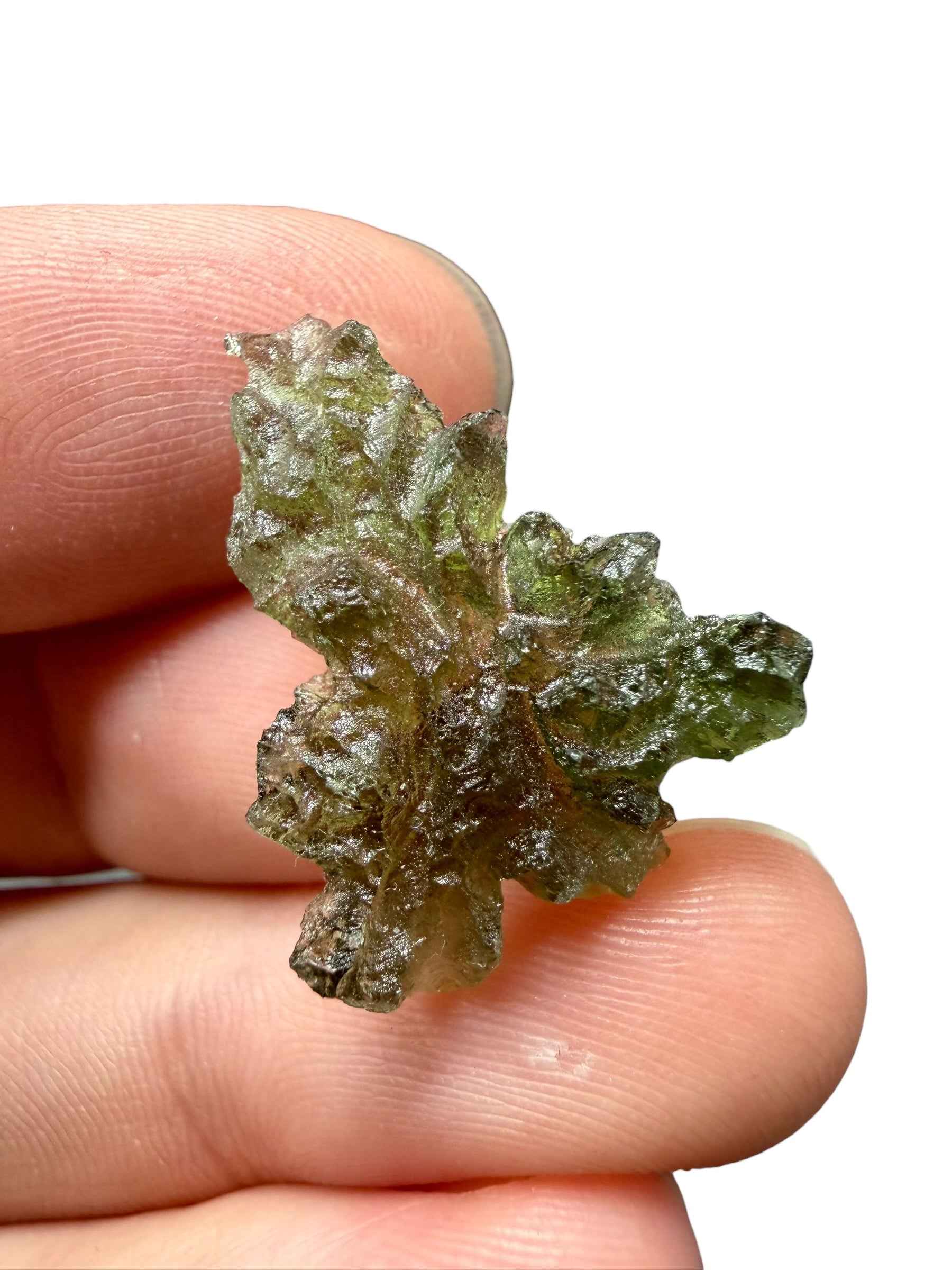 Moldavite – Besednice Jezkovna – 1,9g - BJ330
