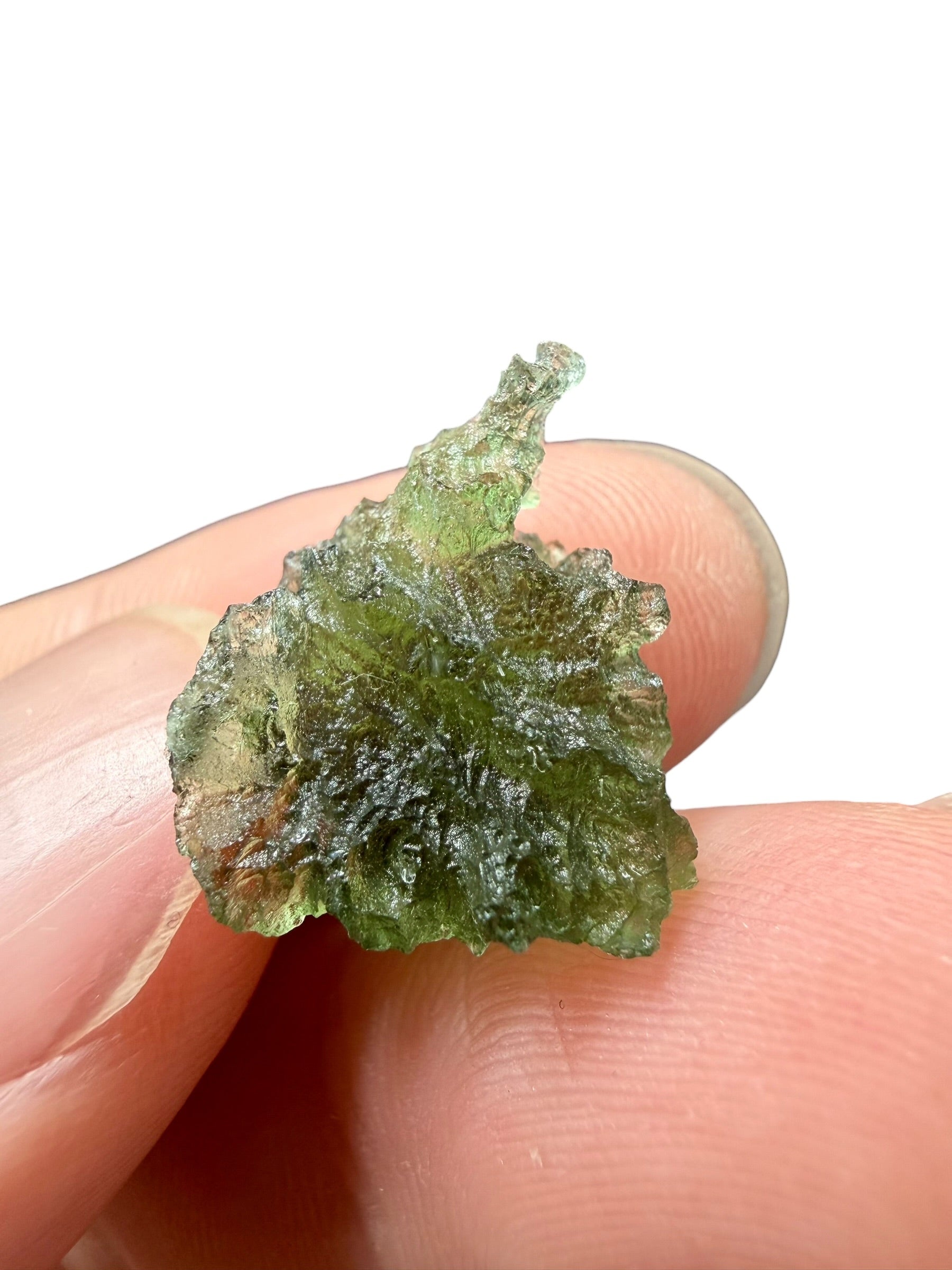 Moldavite – Besednice Jezkovna – 2g - BJ338