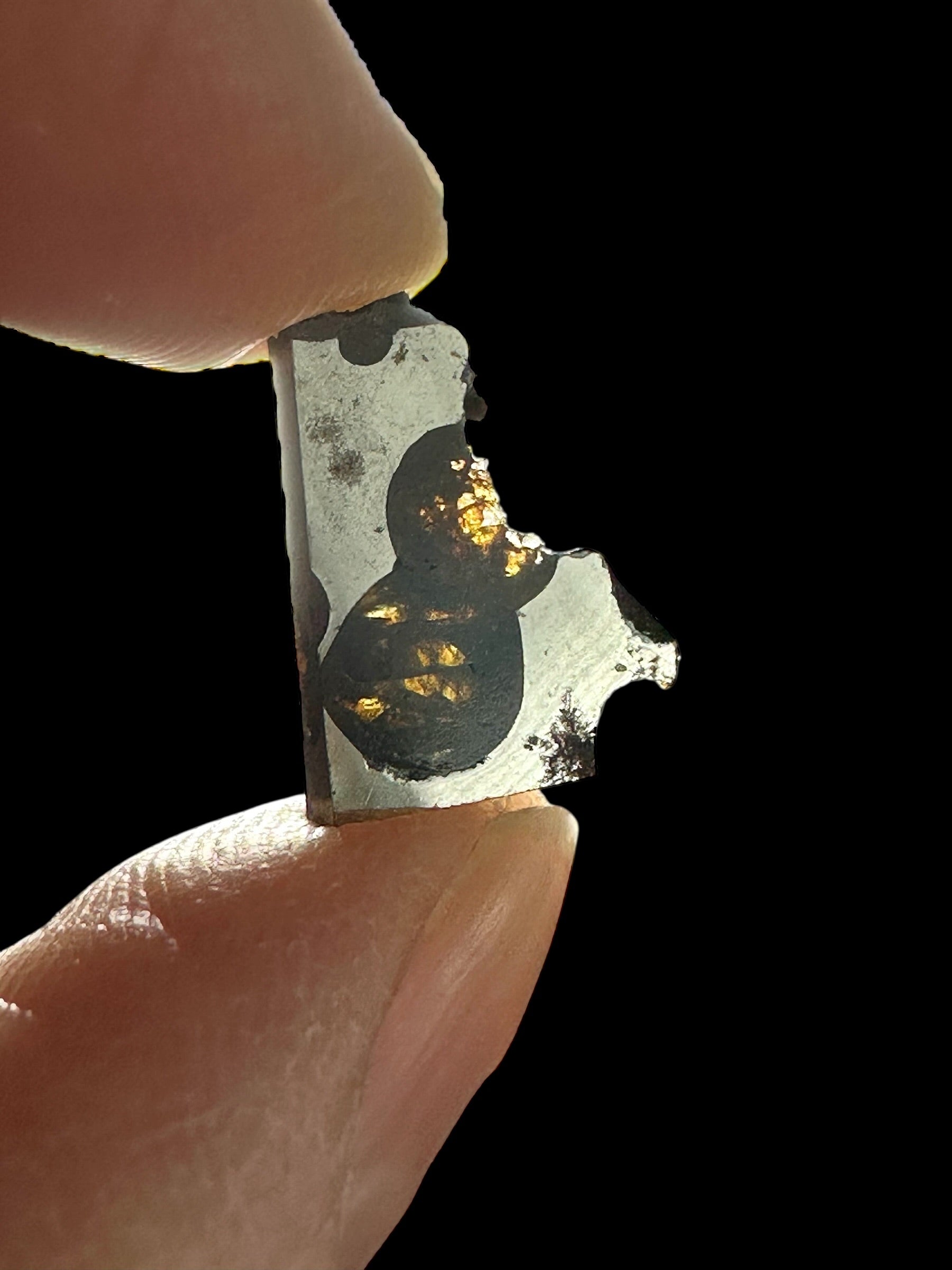 Meteorite Borzya 0,9g – Russia - MEBO20