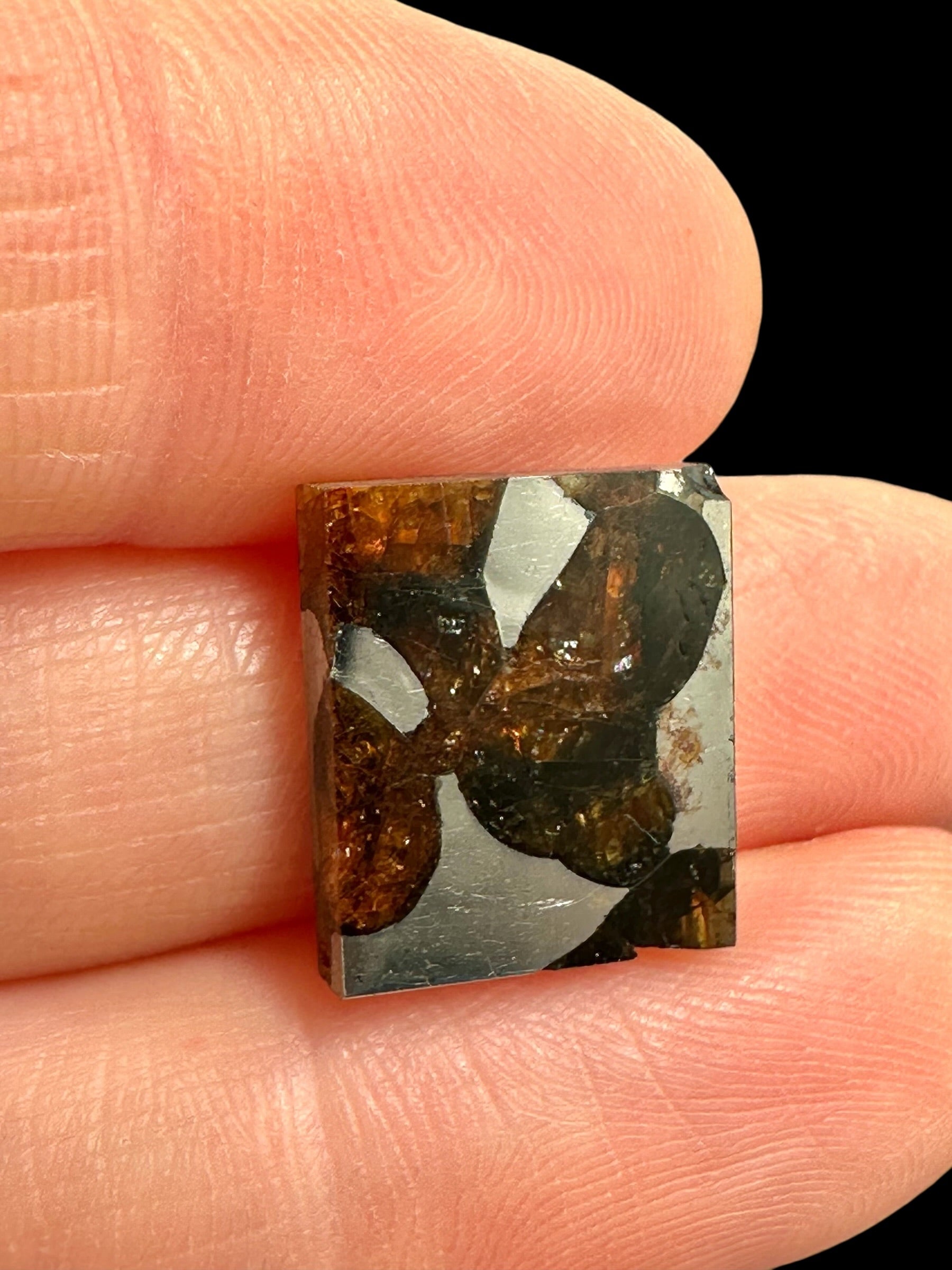 Meteorite Borzya 1,9g – Russia - MEBO21