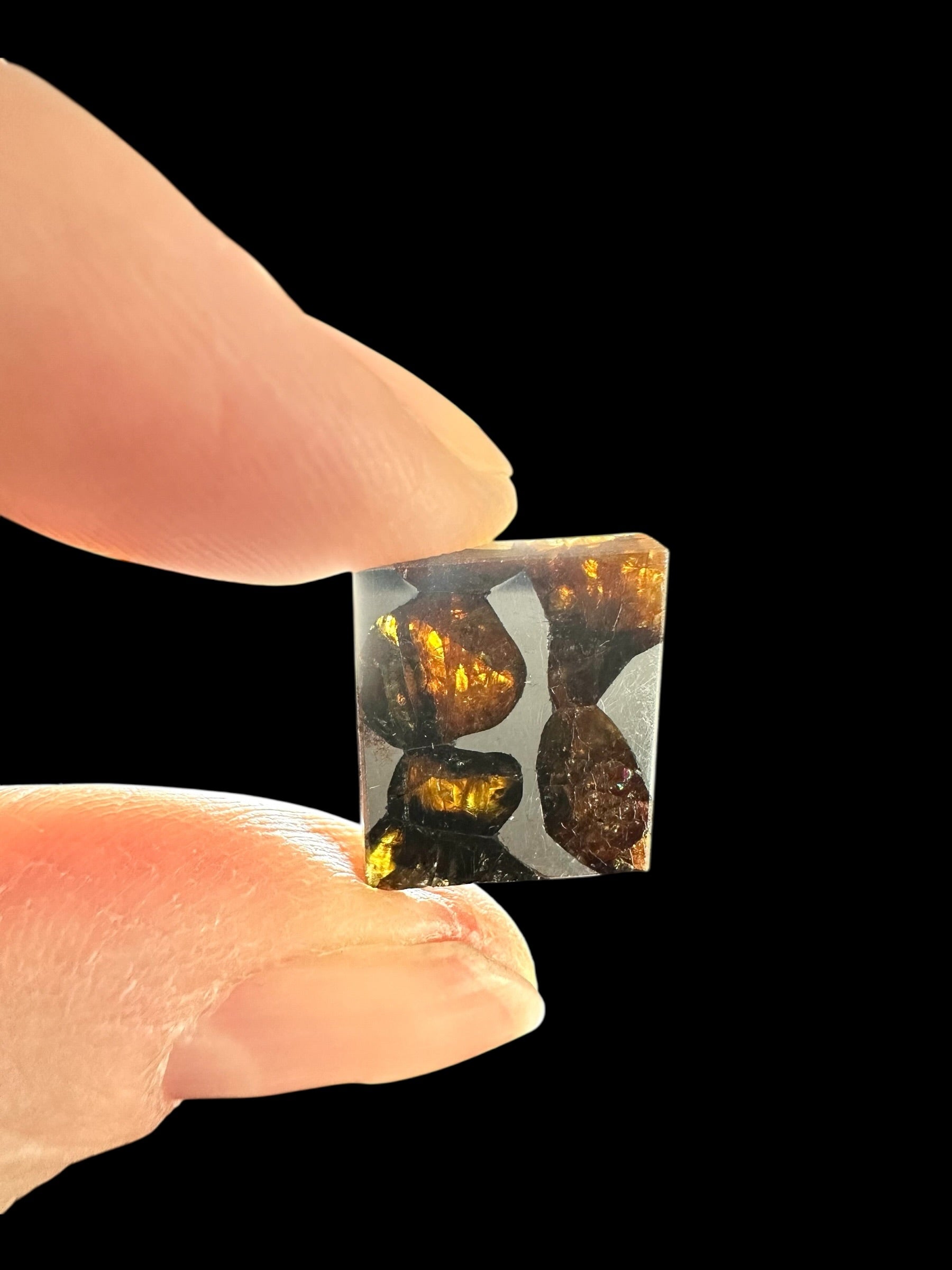 Meteorite Borzya 1,9g – Russia - MEBO21