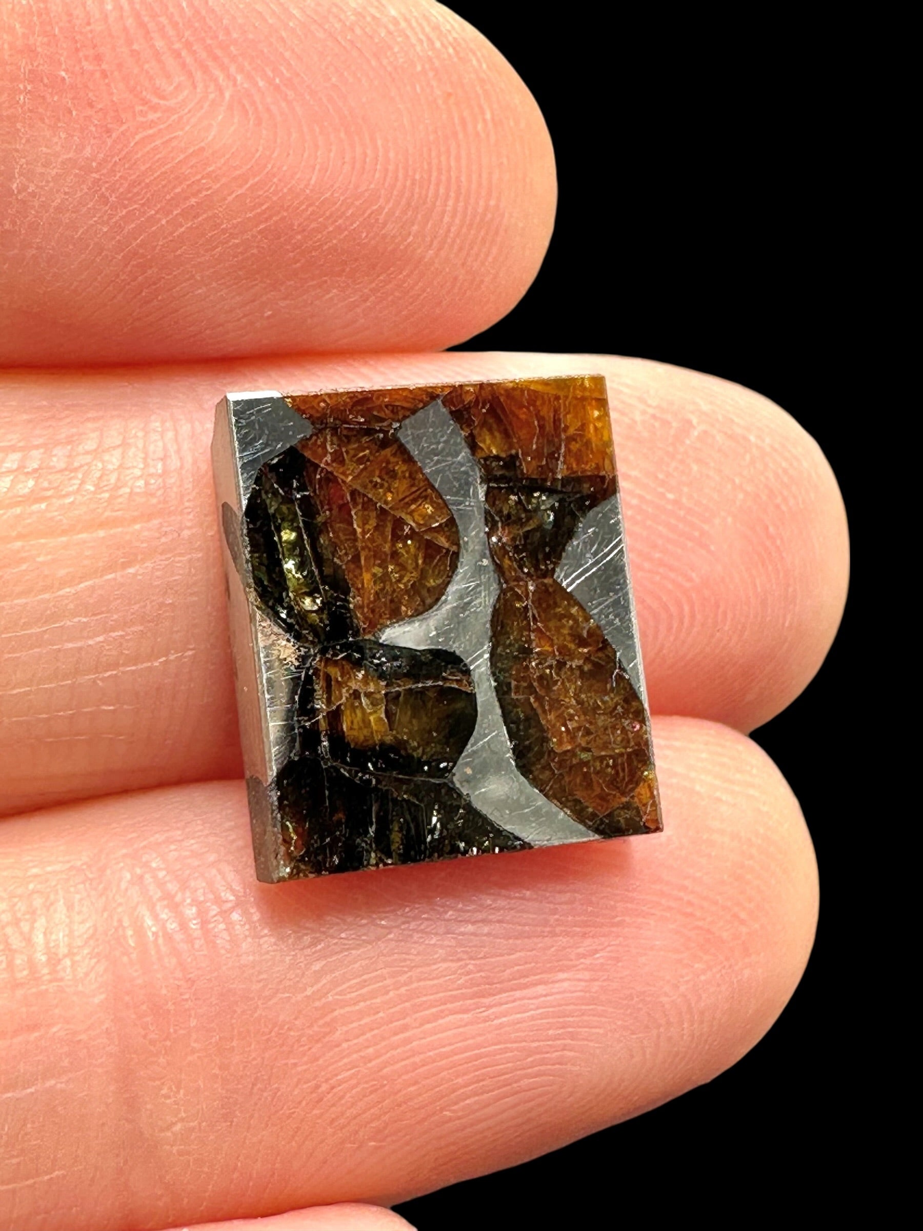 Meteorite Borzya 1,9g – Russia - MEBO21