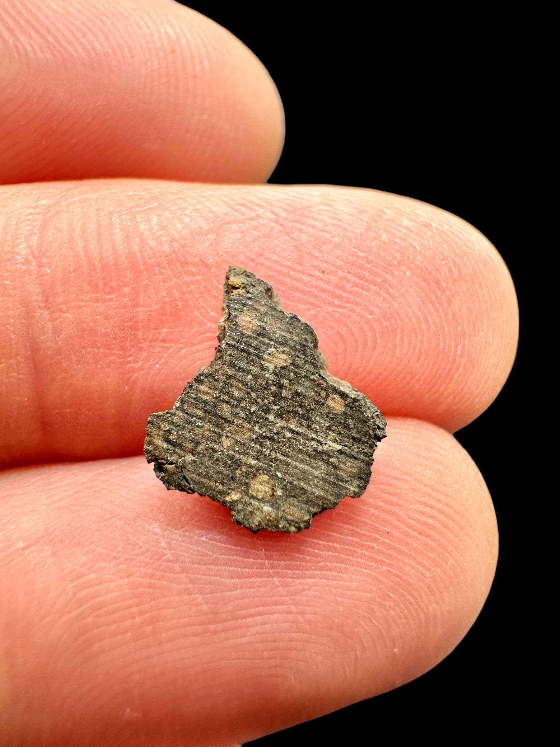 Meteorite Erg Chech 003 – 0,2g – Algeria - MEECH41
