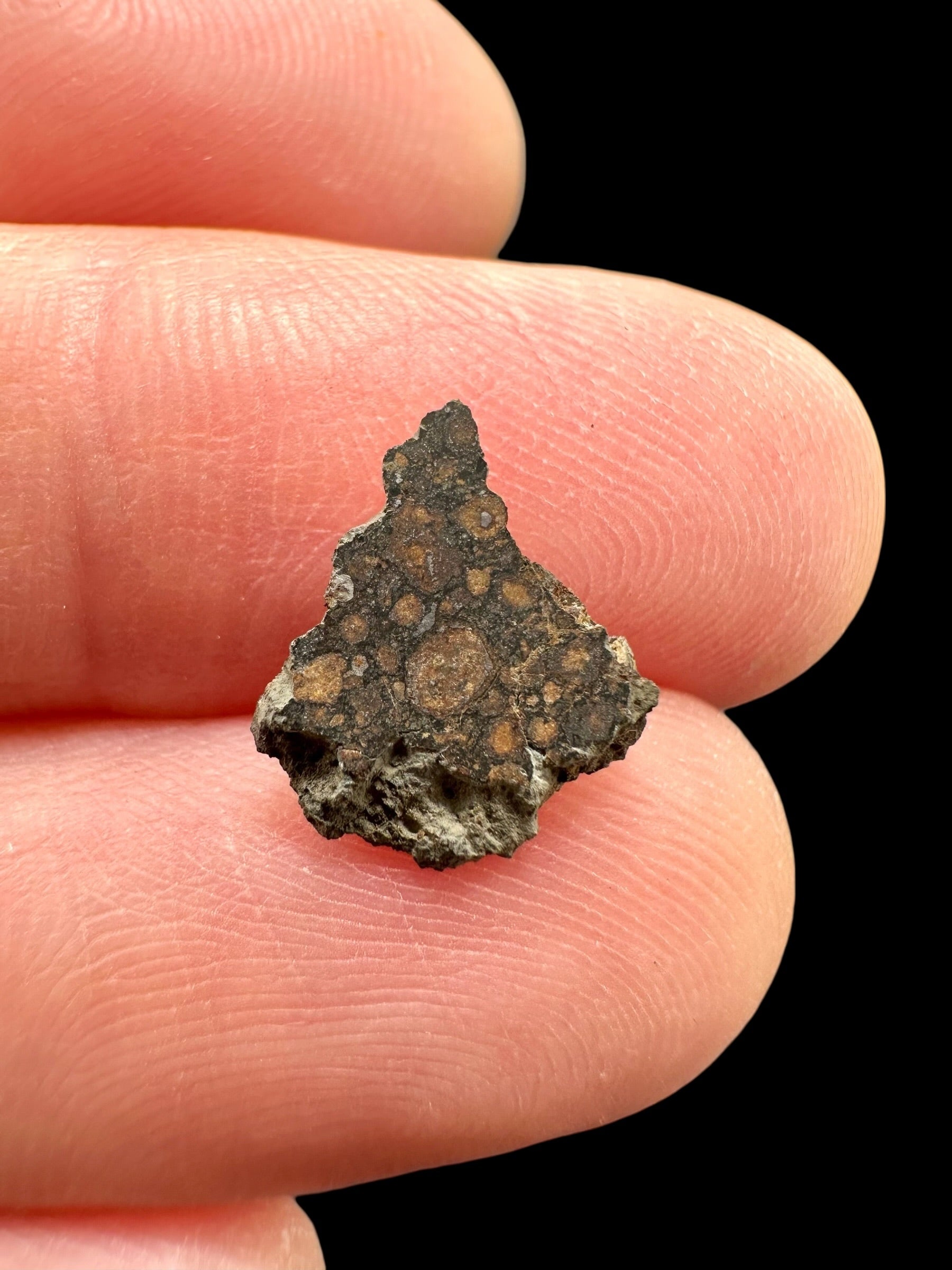 Meteorite Erg Chech 003 – 0,2g – Algeria - MEECH41