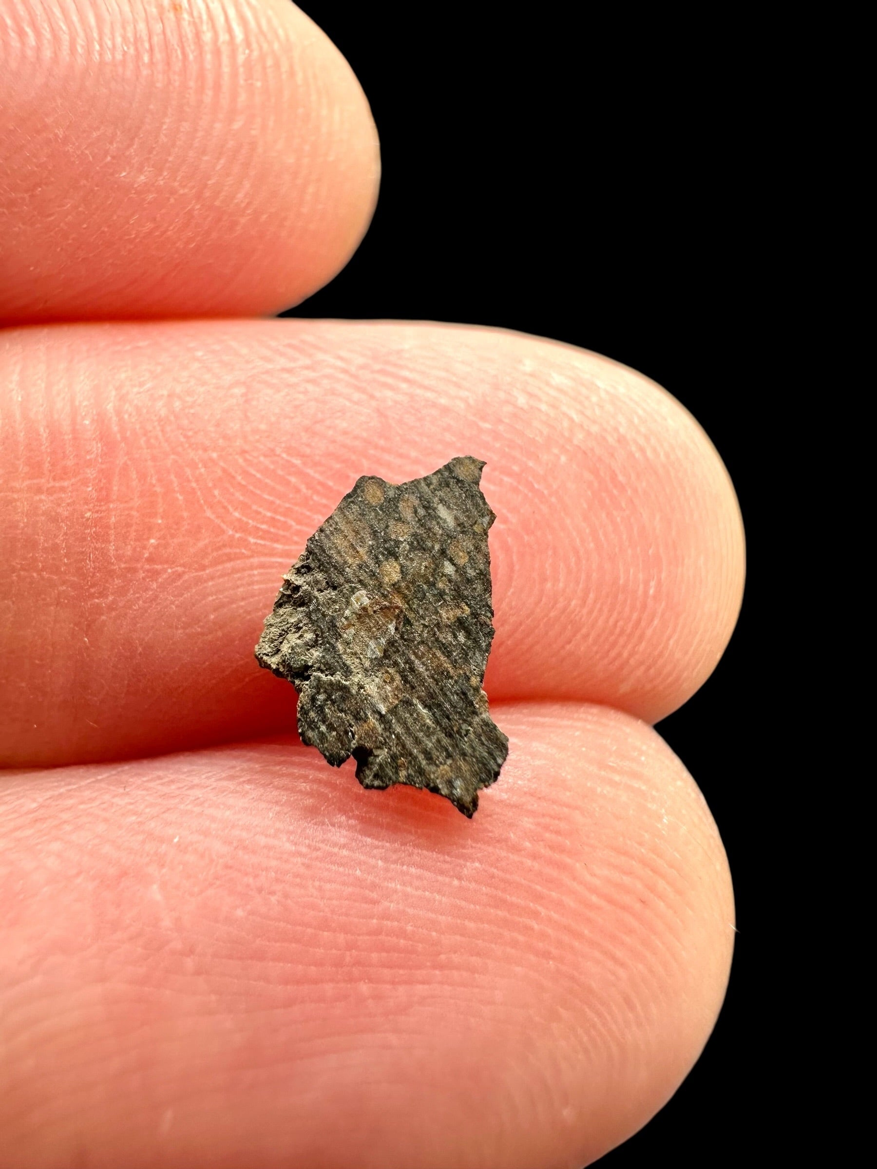 Meteorite Erg Chech 003 – 0,1g – Algeria - MEECH42