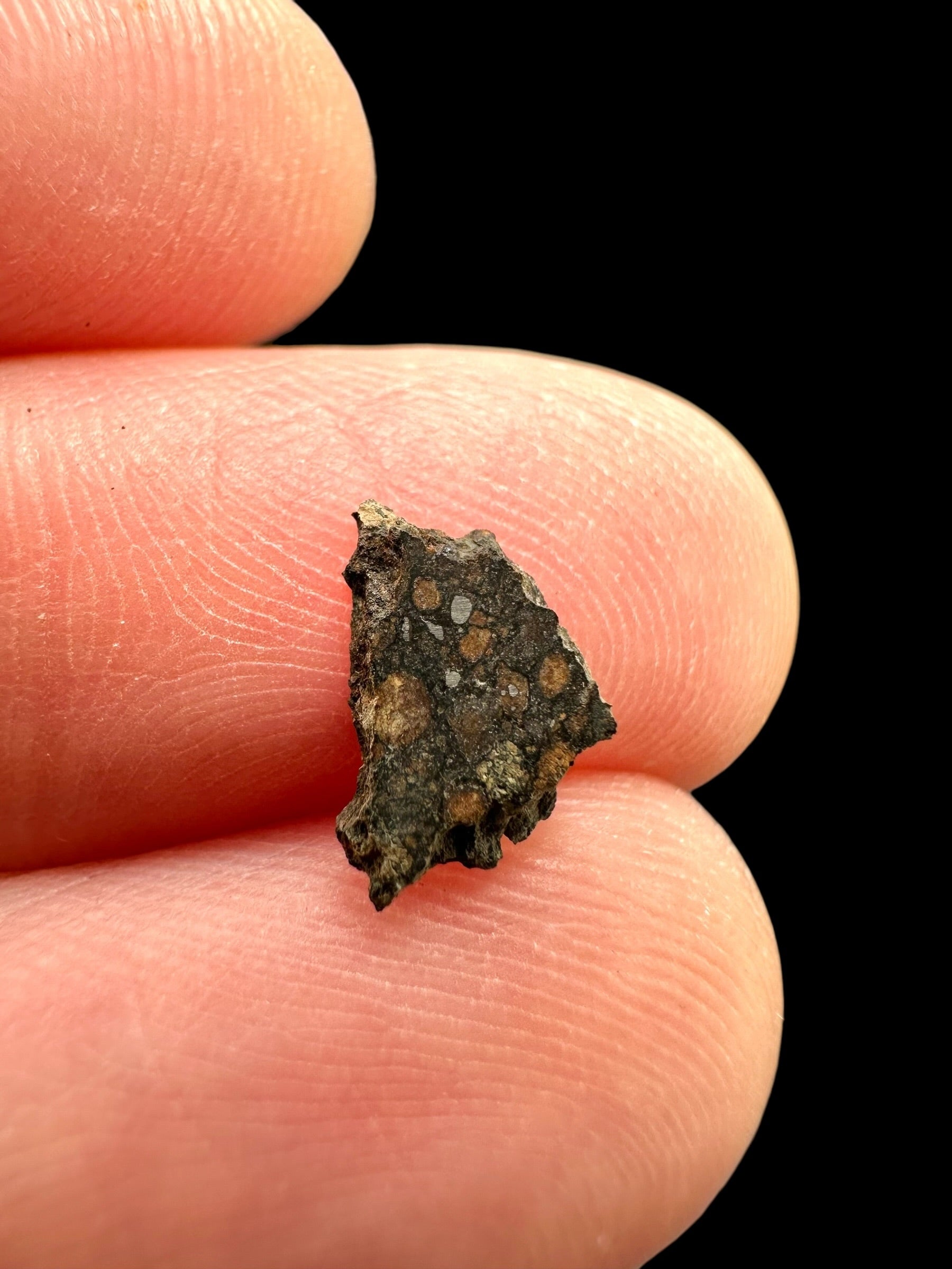 Meteorite Erg Chech 003 – 0,1g – Algeria - MEECH42