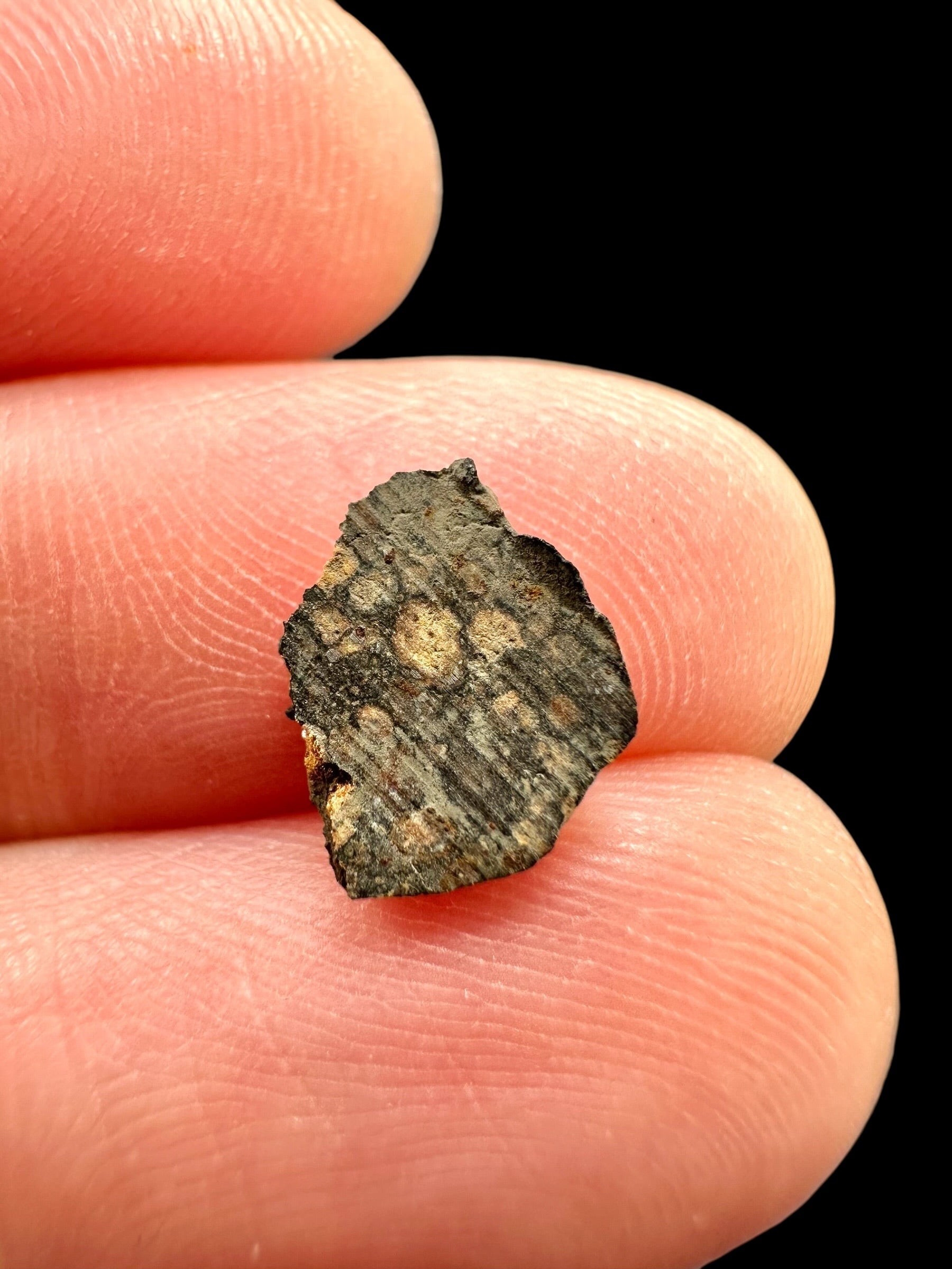 Meteorite Erg Chech 003 – 0,2g – Algeria - MEECH43