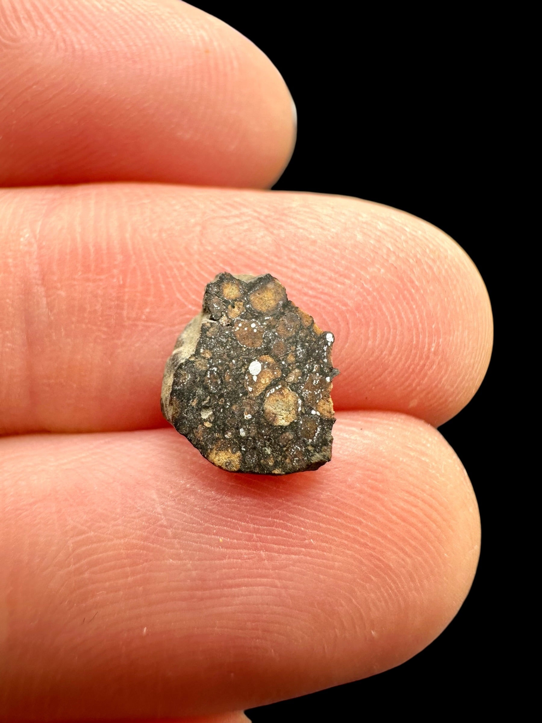 Meteorite Erg Chech 003 – 0,2g – Algeria - MEECH43