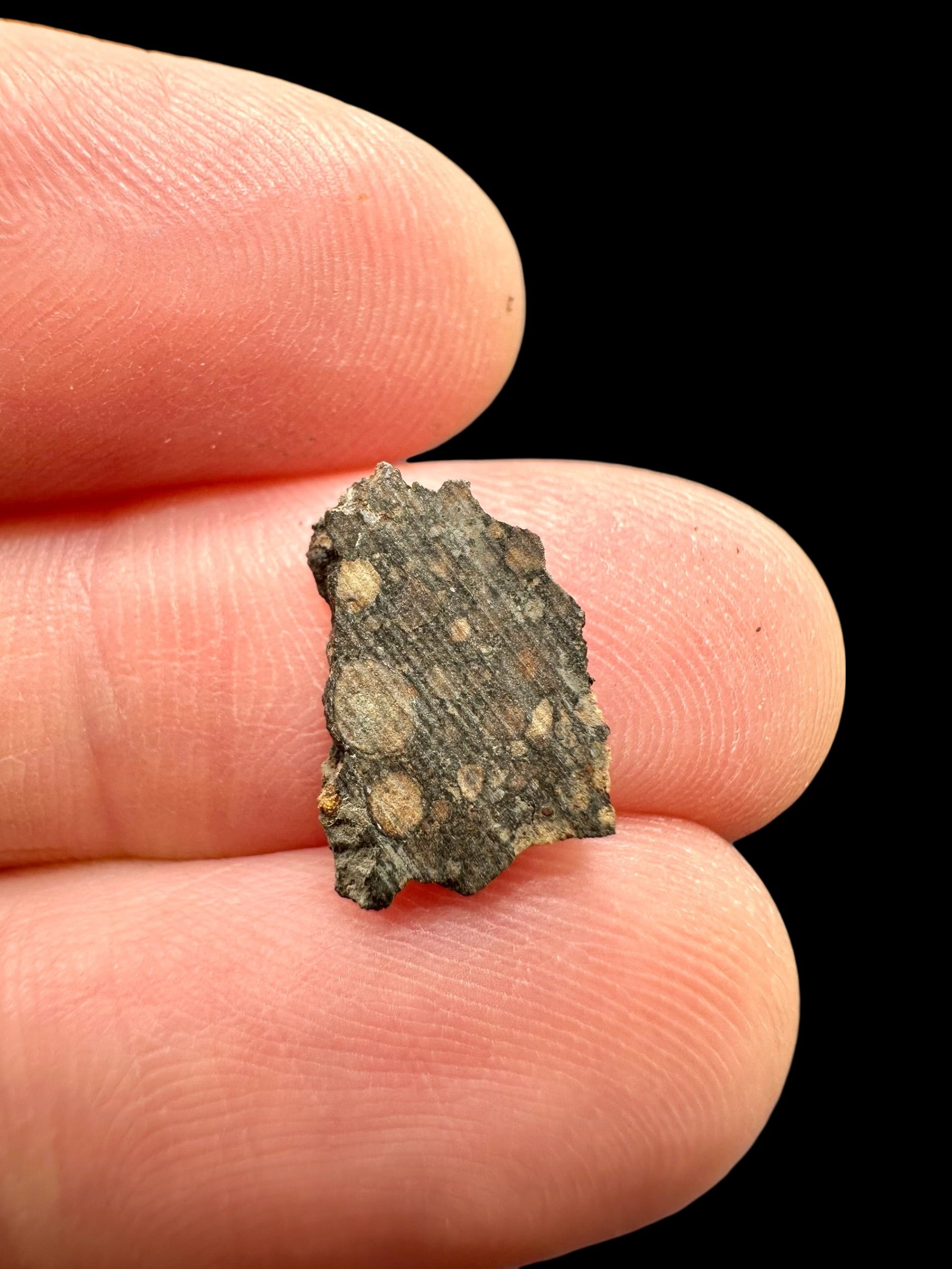 Meteorite Erg Chech 003 – 0,2g – Algeria - MEECH44