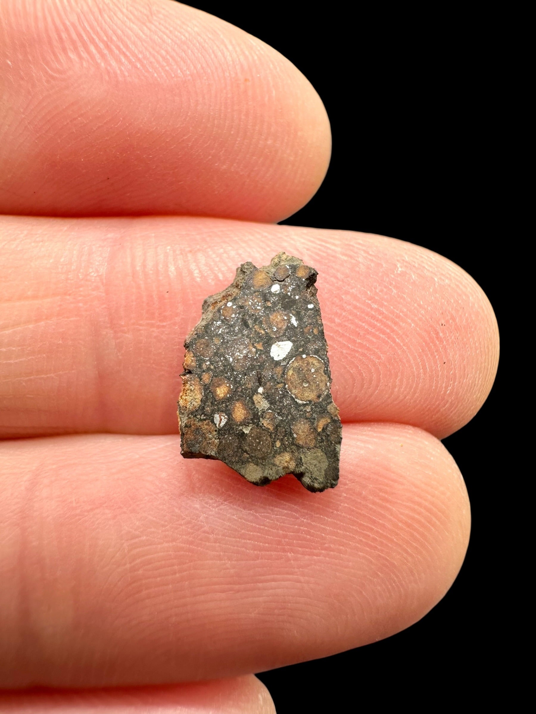 Meteorite Erg Chech 003 – 0,2g – Algeria - MEECH44