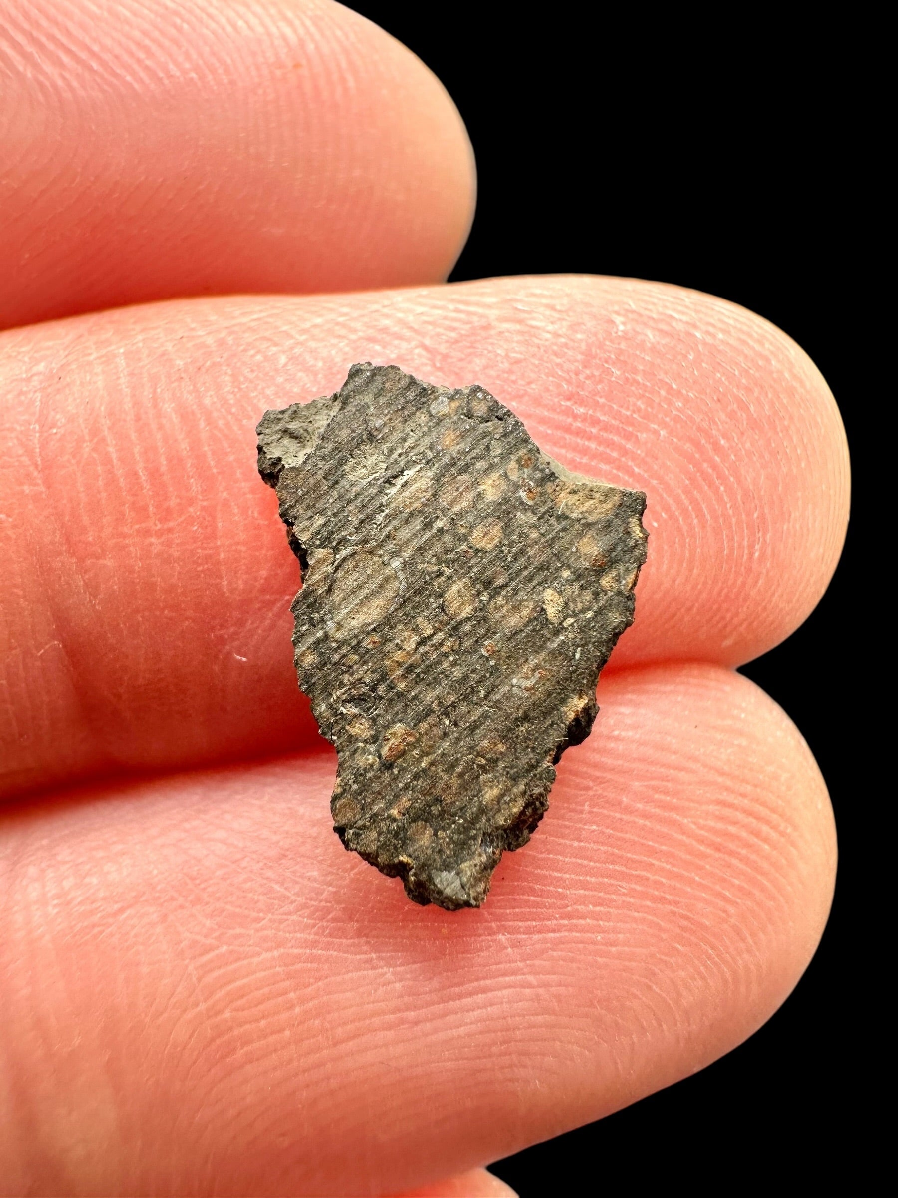 Meteorite Erg Chech 003 – 0,3g – Algeria - MEECH45