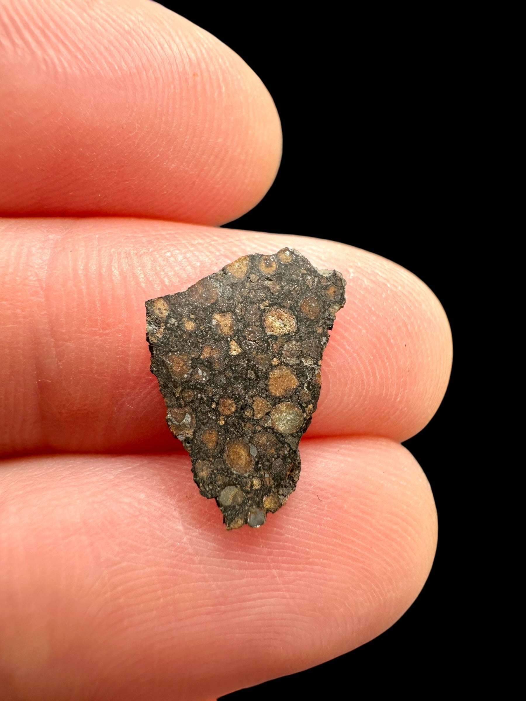 Meteorite Erg Chech 003 – 0,3g – Algeria - MEECH45