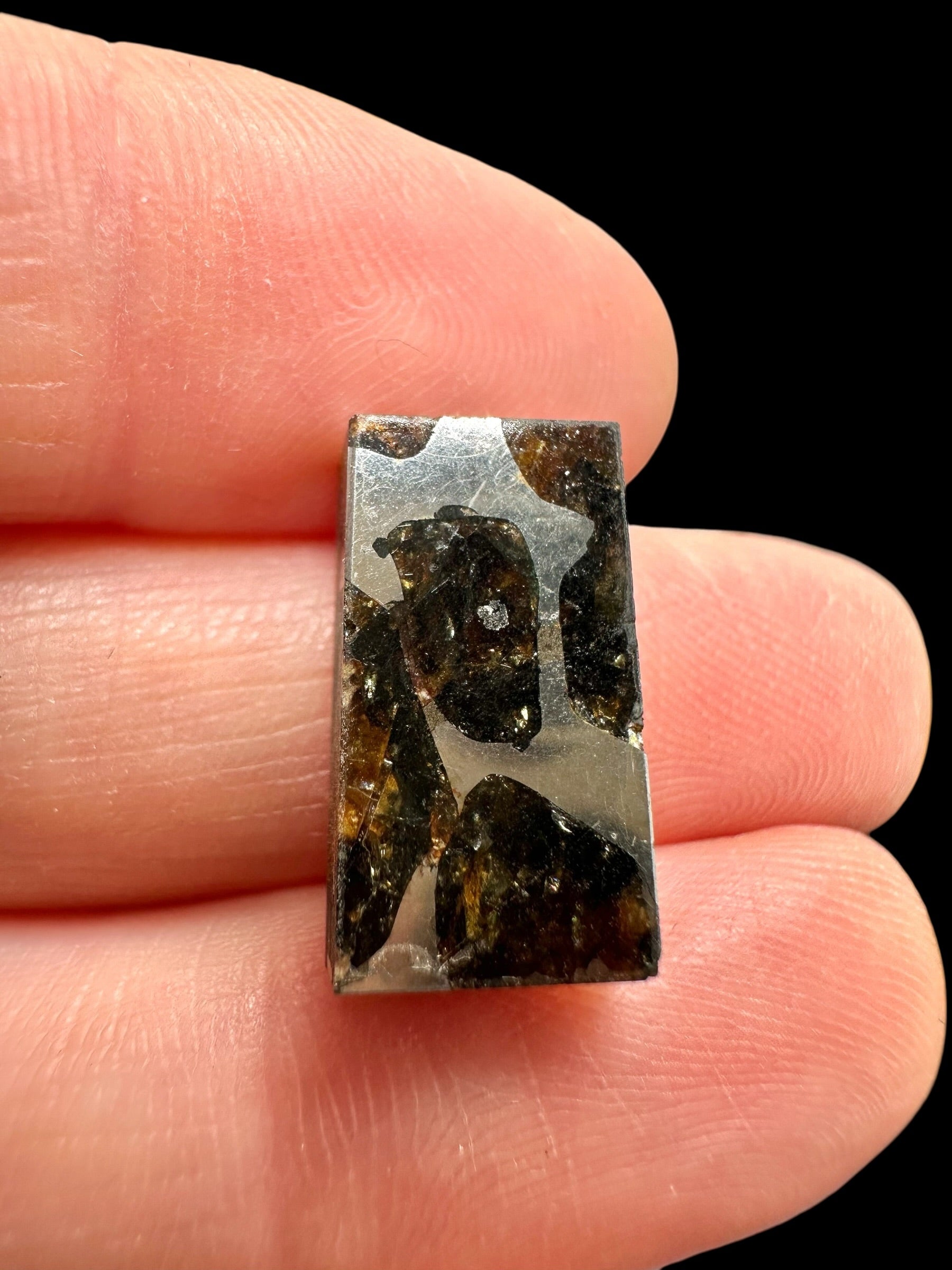 Meteorite Pallasit Pallasovka – Russia - MEPA18