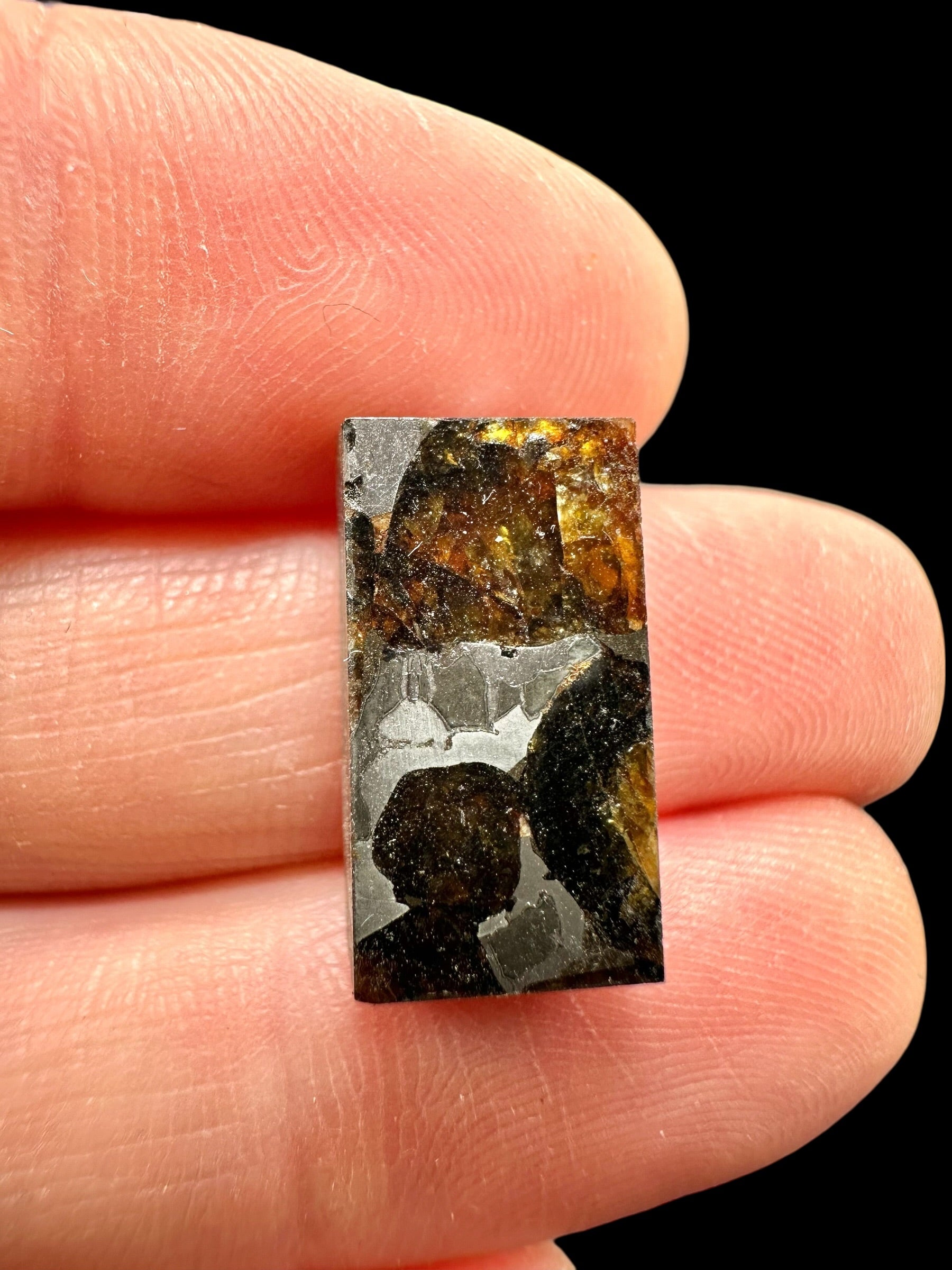 Meteorite Pallasit Pallasovka – Russia - MEPA18