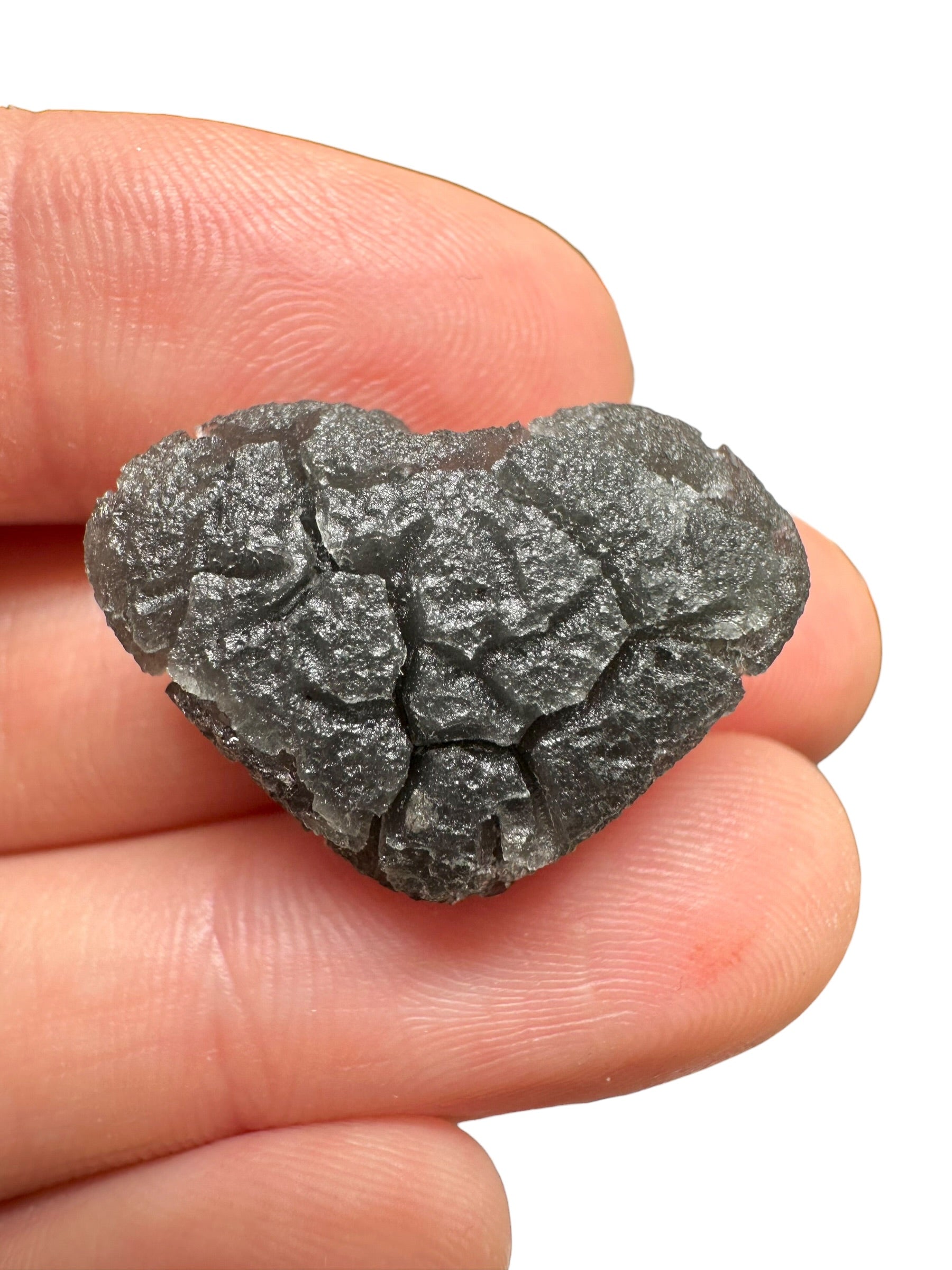 Carpathian obsidian – Hedgehog – 5,1g - OBJ240