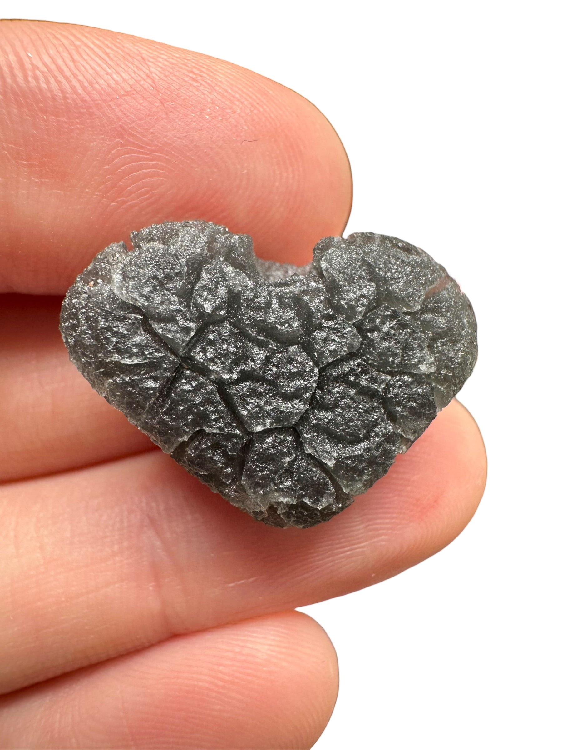 Carpathian obsidian – Hedgehog – 5,1g