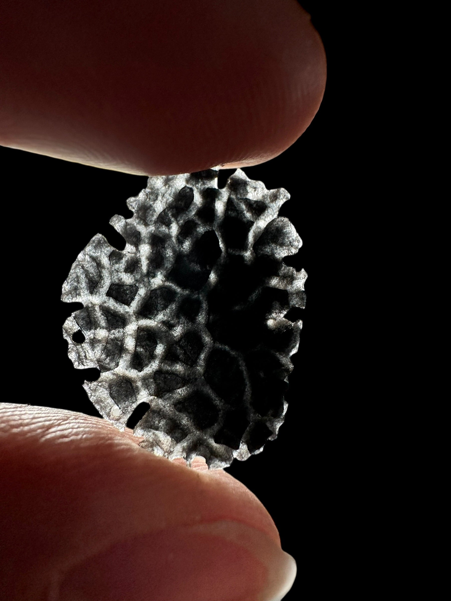 Carpathian obsidian – Hedgehog – 0,5g - OBJ262