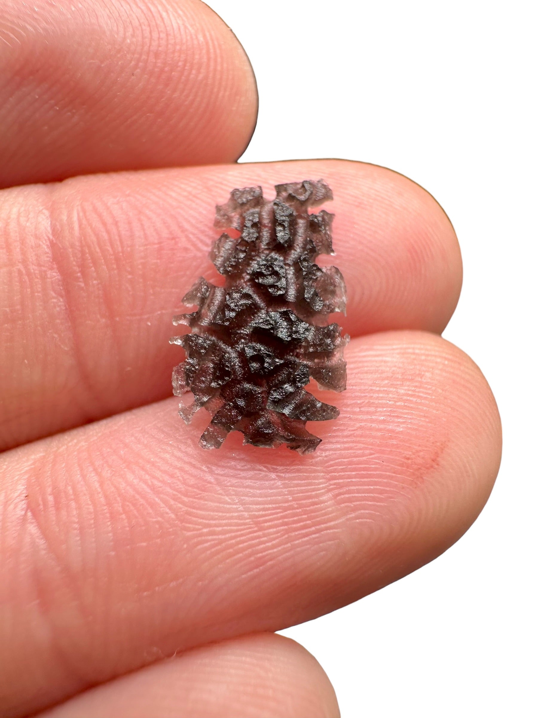 Carpathian obsidian – Hedgehog – 0,1g - OBJ286