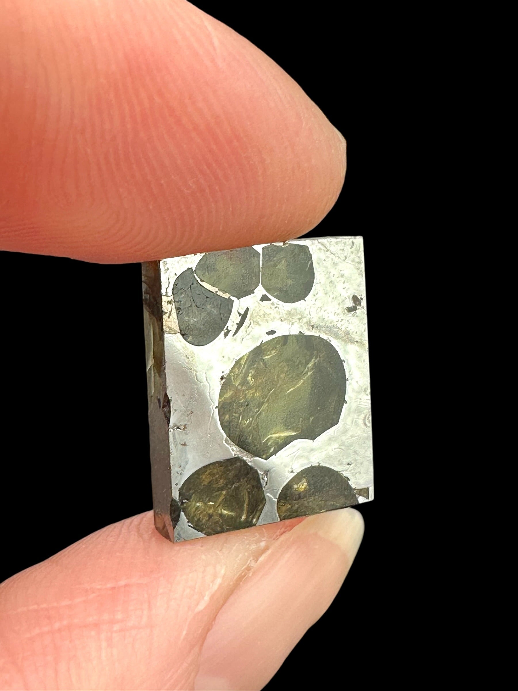 Meteorite Pallasit Brahin 2,4g – Extra Quality – Belarus - MEBR81