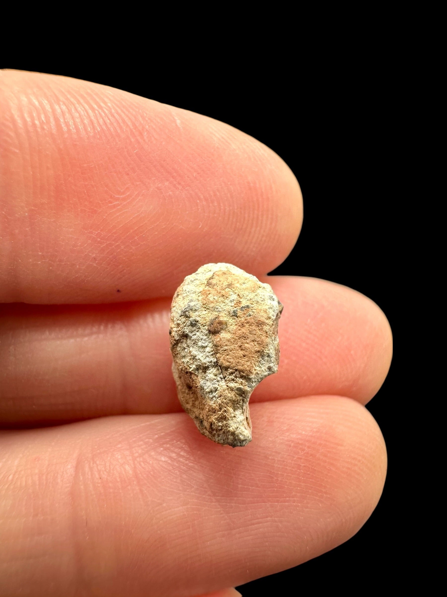 Lunar meteorite Bechar 007 – 0,8g – Algeria - MEBA95