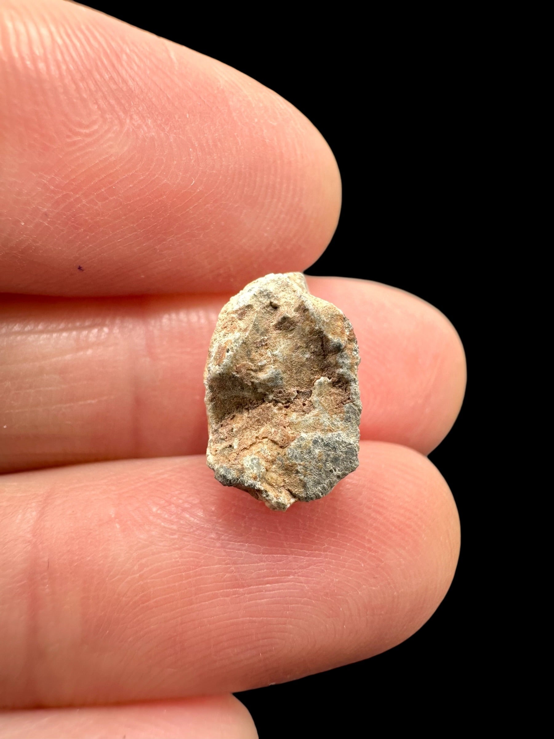 Lunar meteorite Bechar 007 – 0,8g – Algeria - MEBA95
