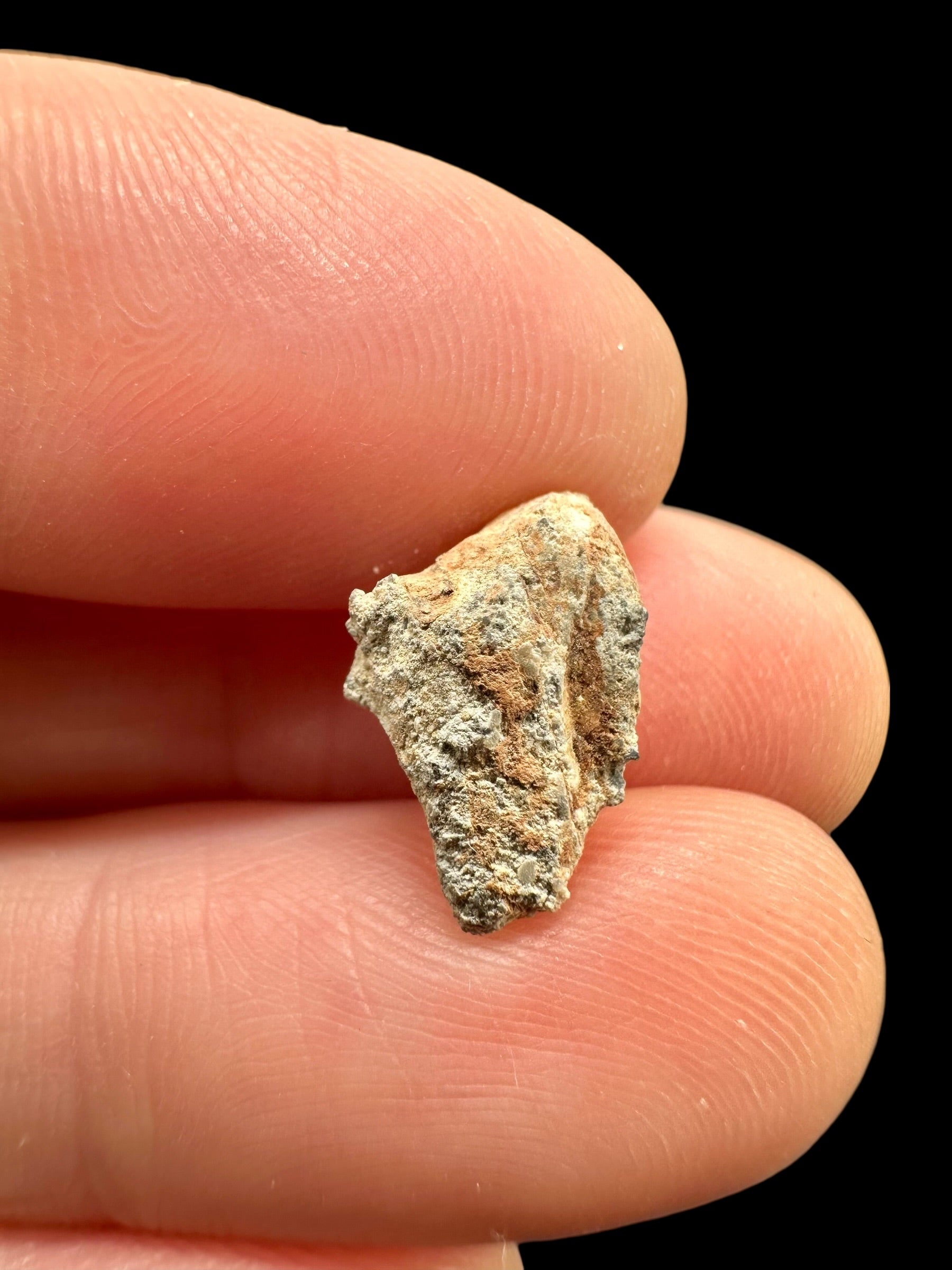 Lunar meteorite Bechar 007 – 0,6g – Algeria - MEBA98