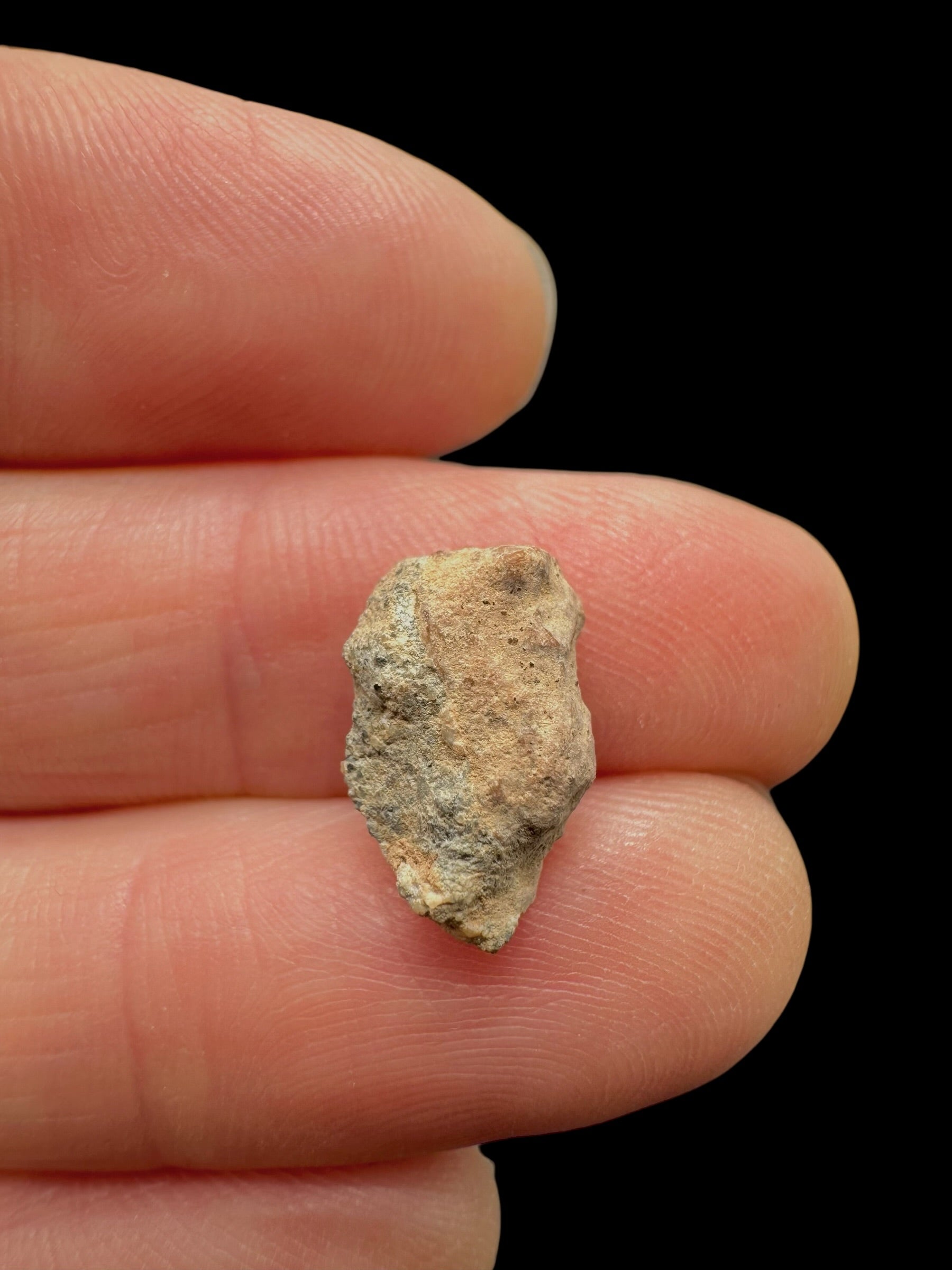 Lunar meteorite Bechar 007 – 0,6g – Algeria - MEBA106