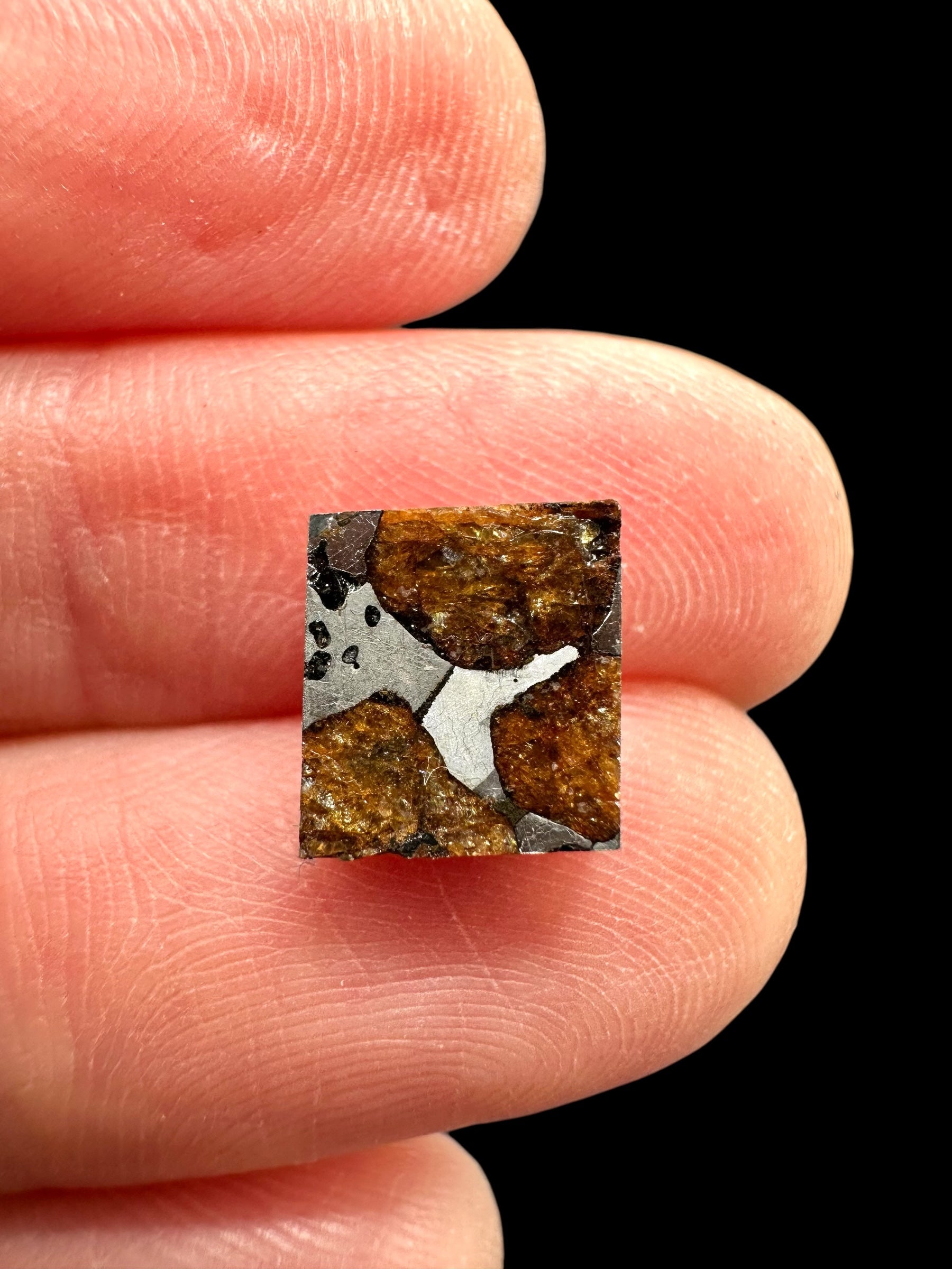 Meteorite Hassi el Biod 002 – 0,6g – Algeria - MEHA20