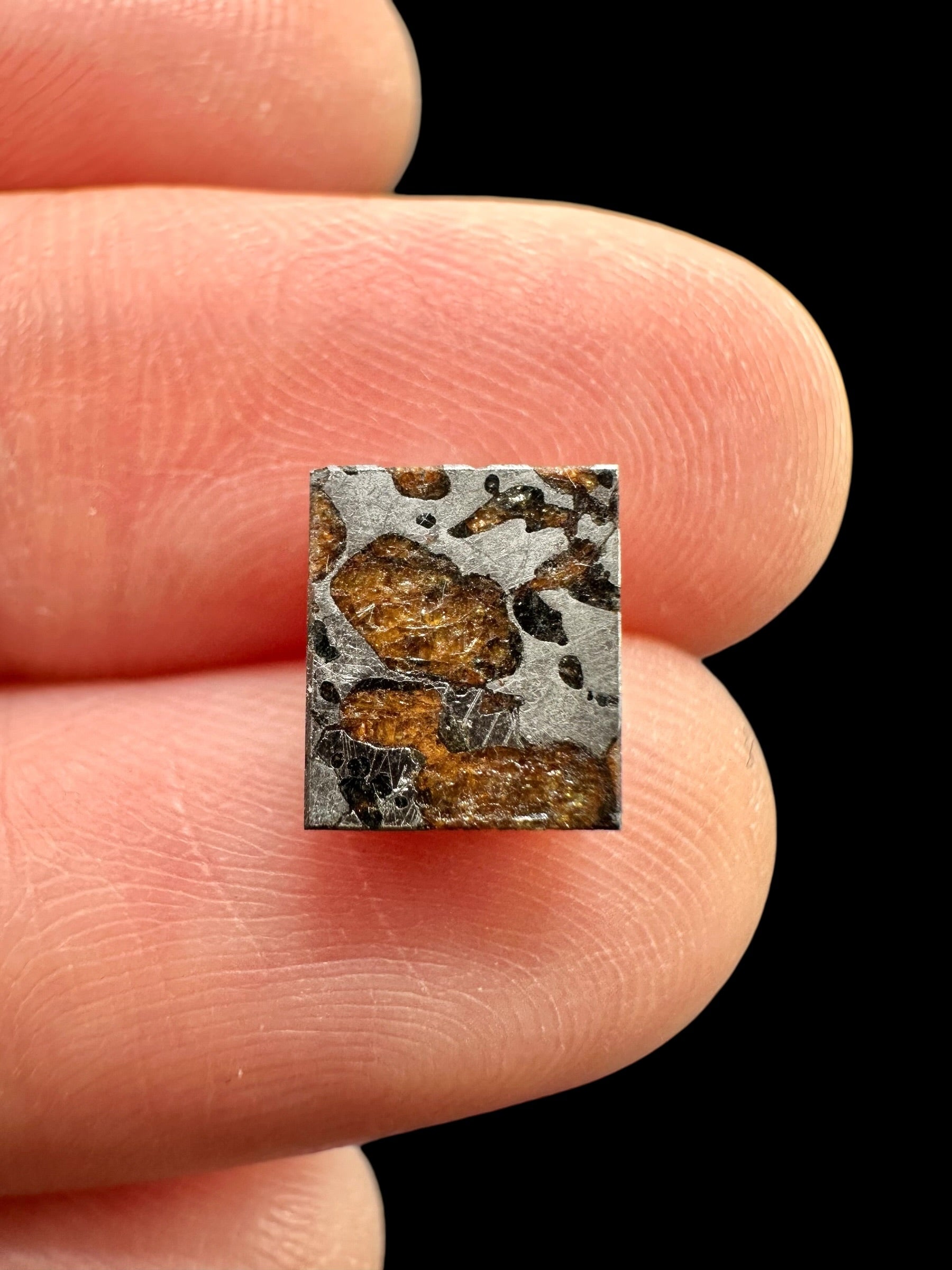Meteorite Hassi el Biod 002 – 0,6g – Algeria - MEHA21