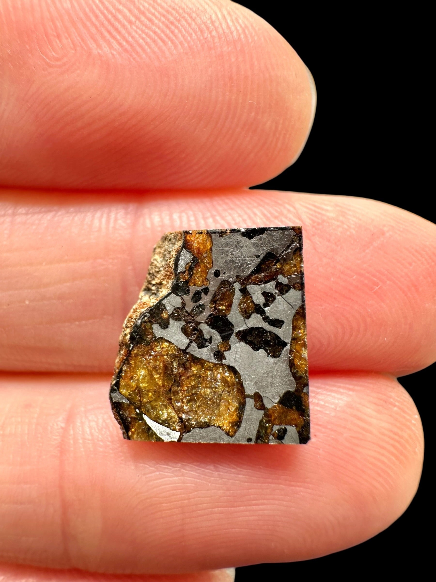 Meteorite Hassi el Biod 002 – 1,5g – Algeria - MEHA24