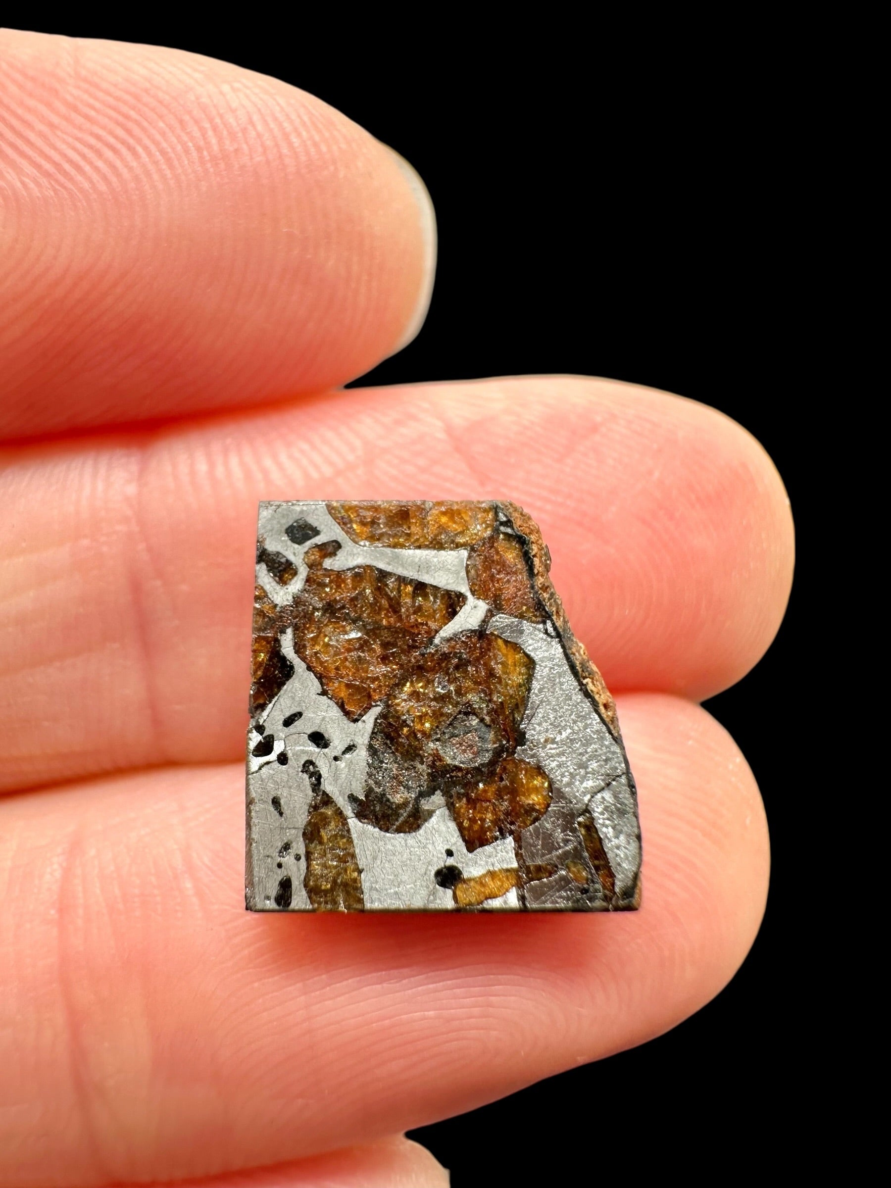 Meteorite Hassi el Biod 002 – 1,5g – Algeria - MEHA24