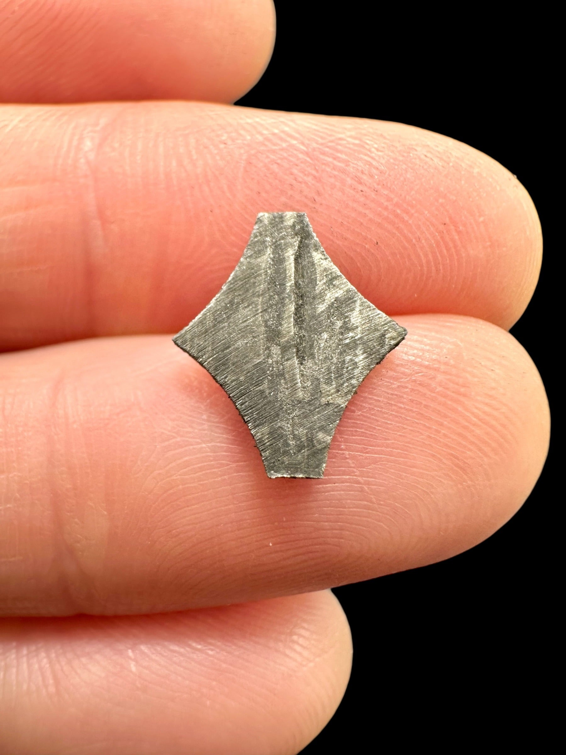 Meteorite Aletai 0,5g – Xinjiang, China - MEAL114