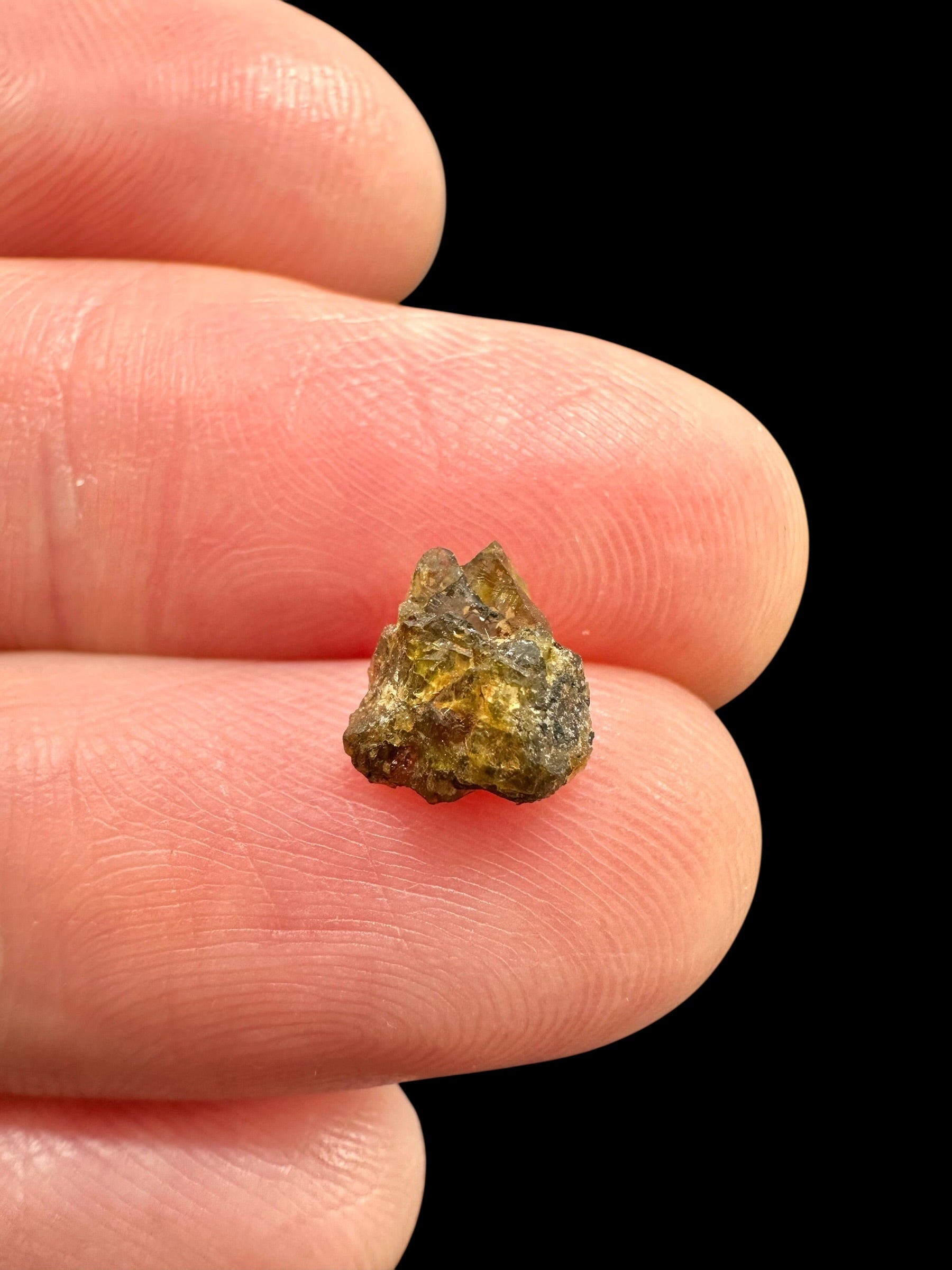 Meteorite NWA 7831 – 0,1g – Western Sahara - MENWA25