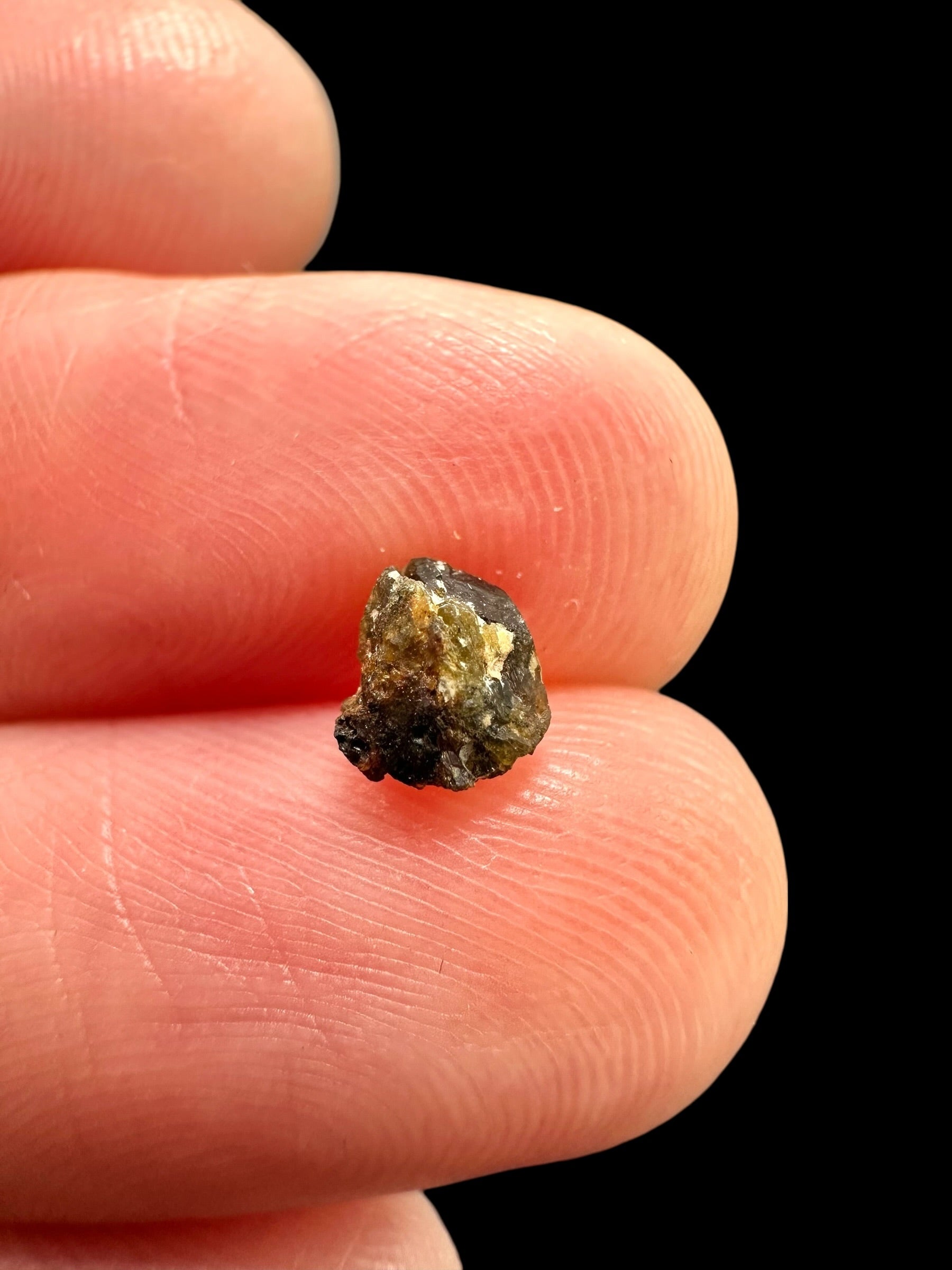 Meteorite NWA 7831 – 0,1g – Western Sahara - MENWA26