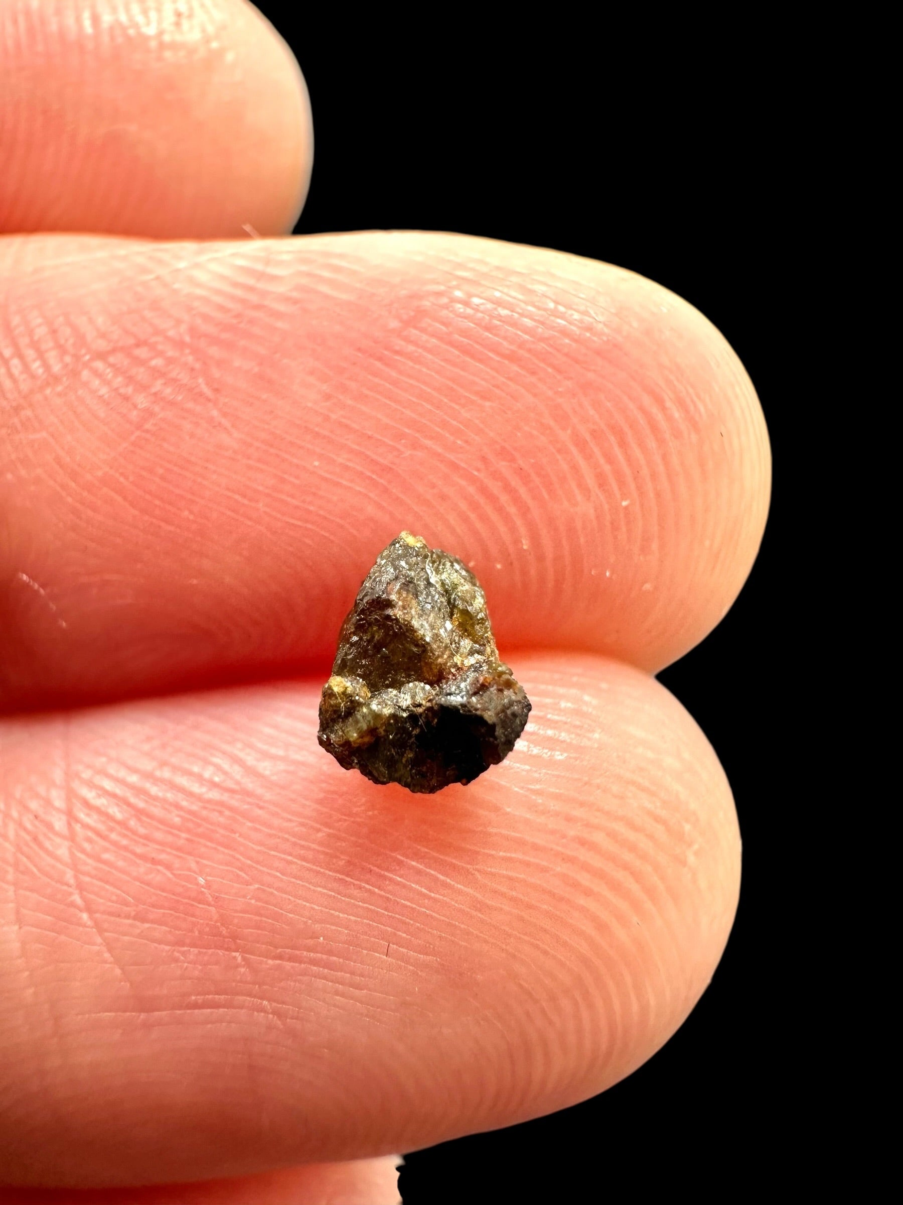 Meteorite NWA 7831 – 0,1g – Western Sahara - MENWA26