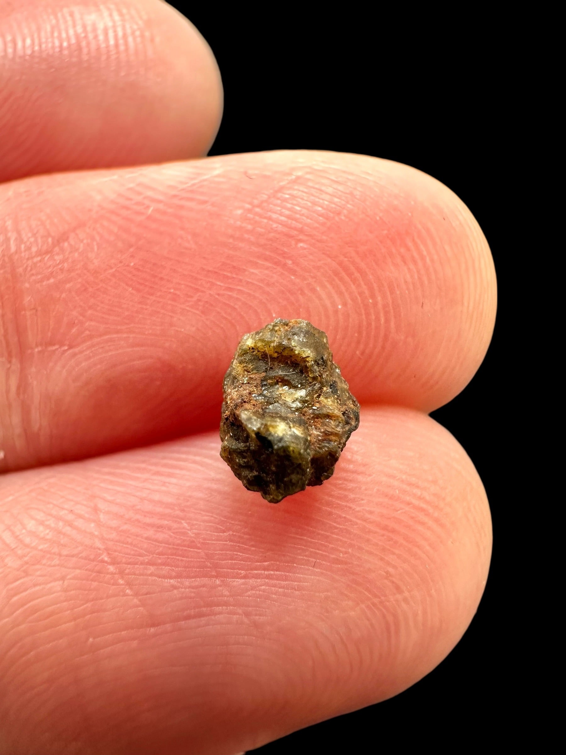 Meteorite NWA 7831 – 0,1g – Western Sahara - MENWA28