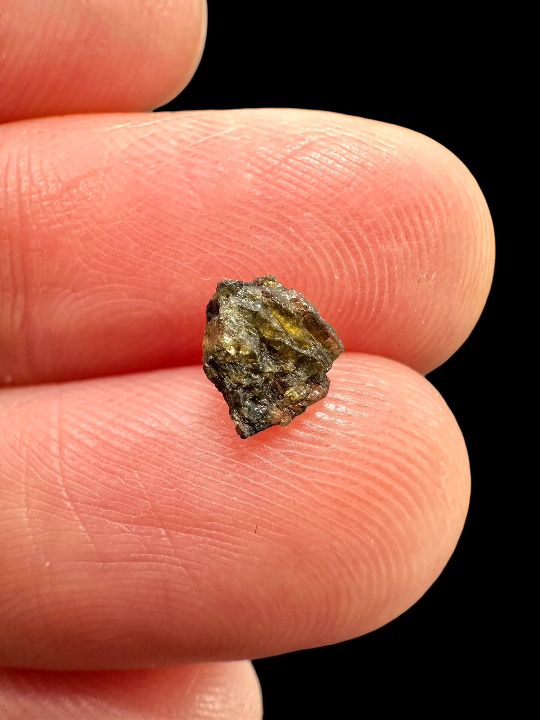 Meteorite NWA 7831 – 0,1g – Western Sahara - MENWA29