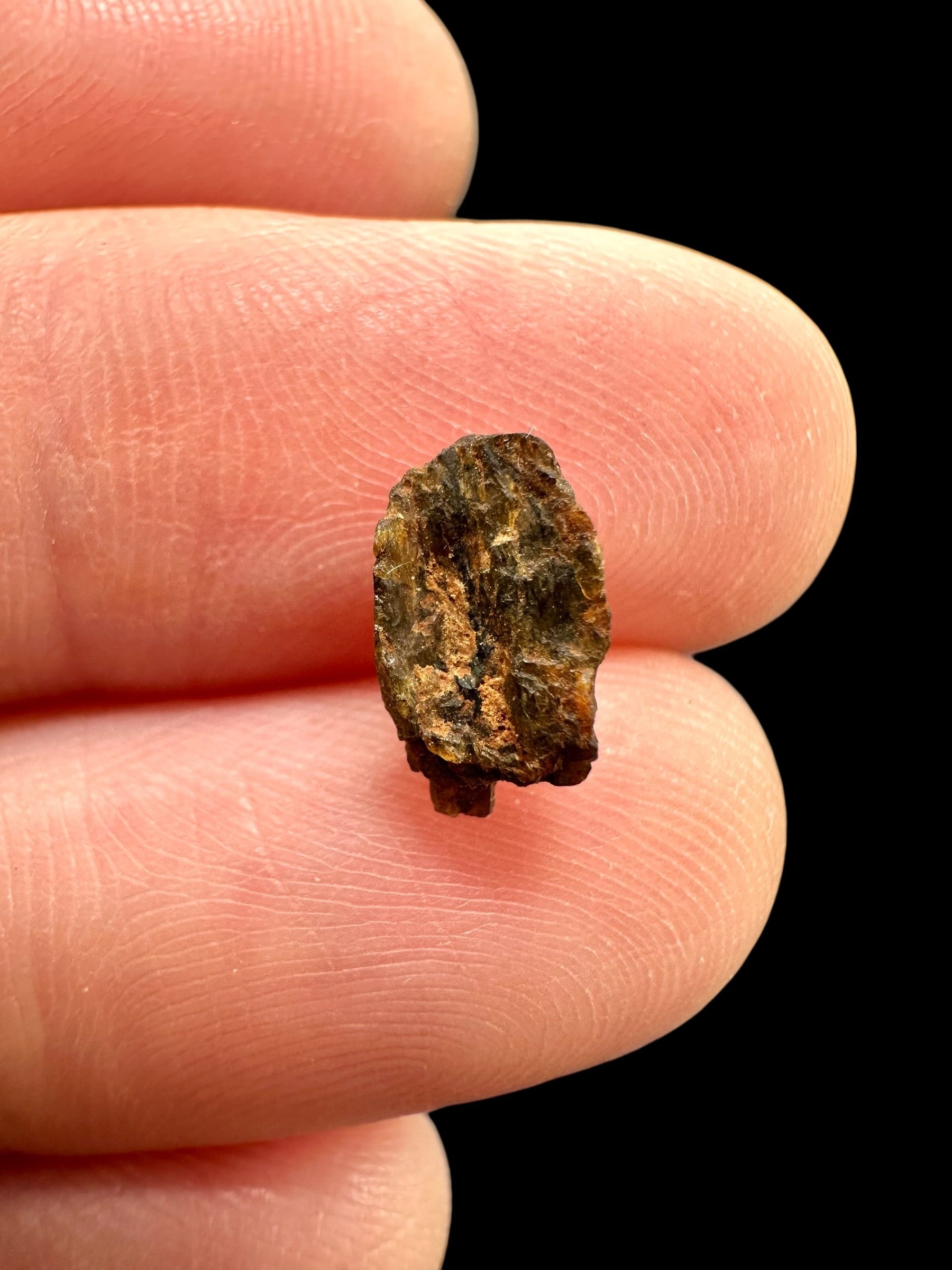Meteorite NWA 7831 – 0,2g – Western Sahara - MENWA30