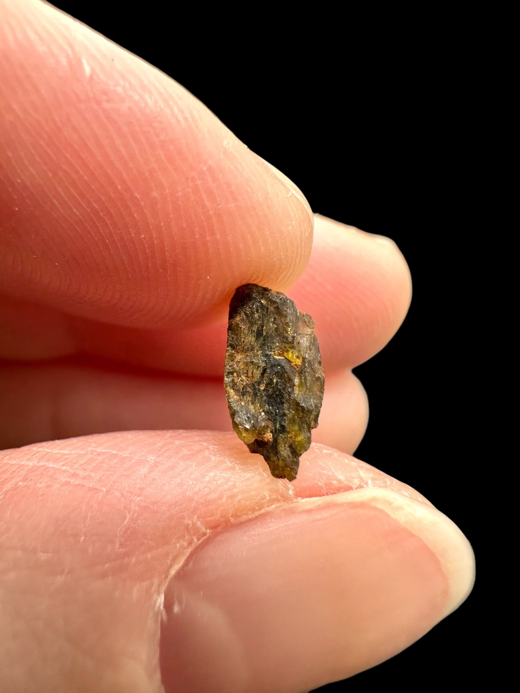 Meteorite NWA 7831 – 0,2g – Western Sahara - MENWA30